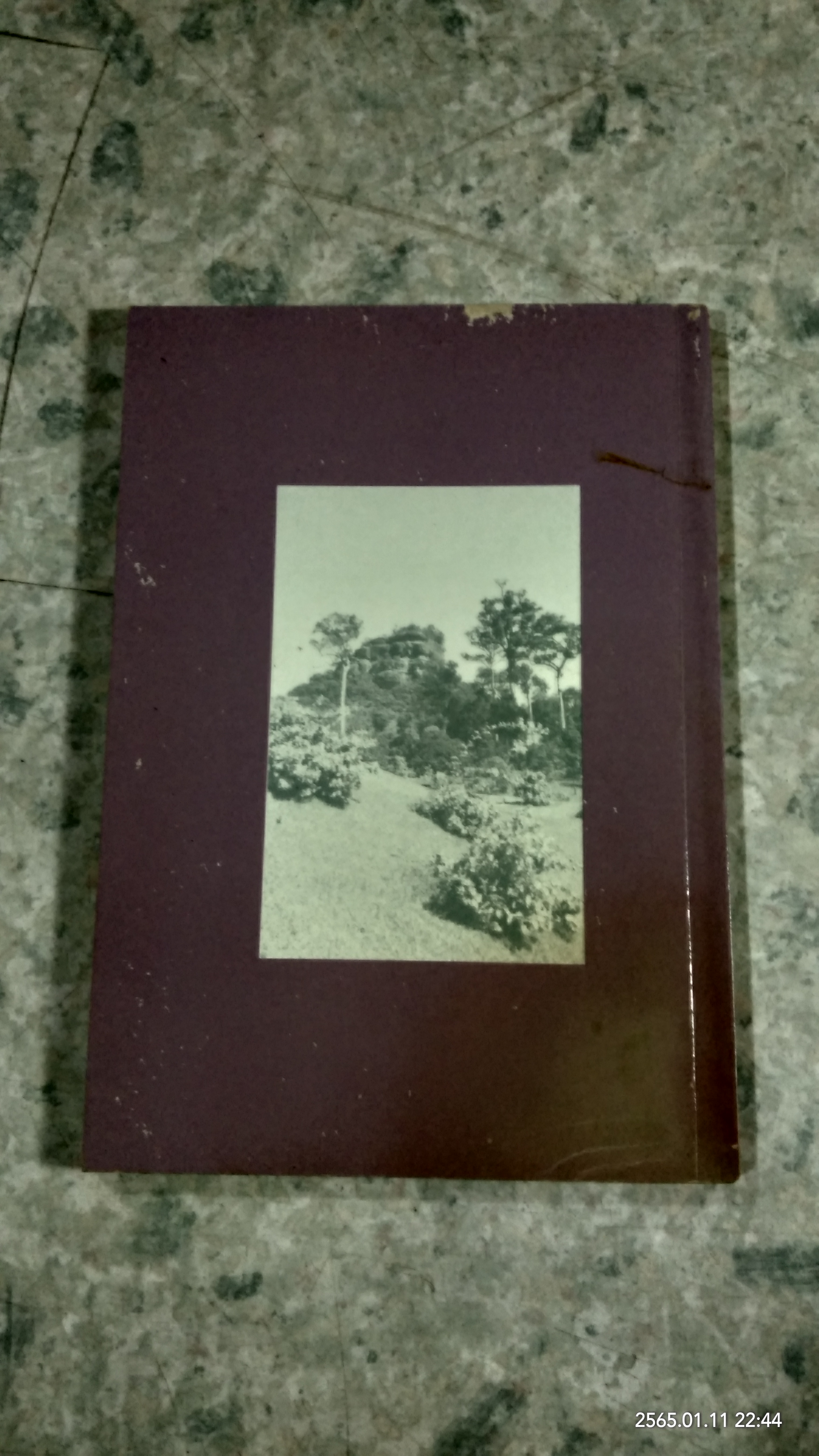 เจดีย์พิพิธภัณท์ ท่านพระอาจารย์ จวน กุลเชฏโฐ