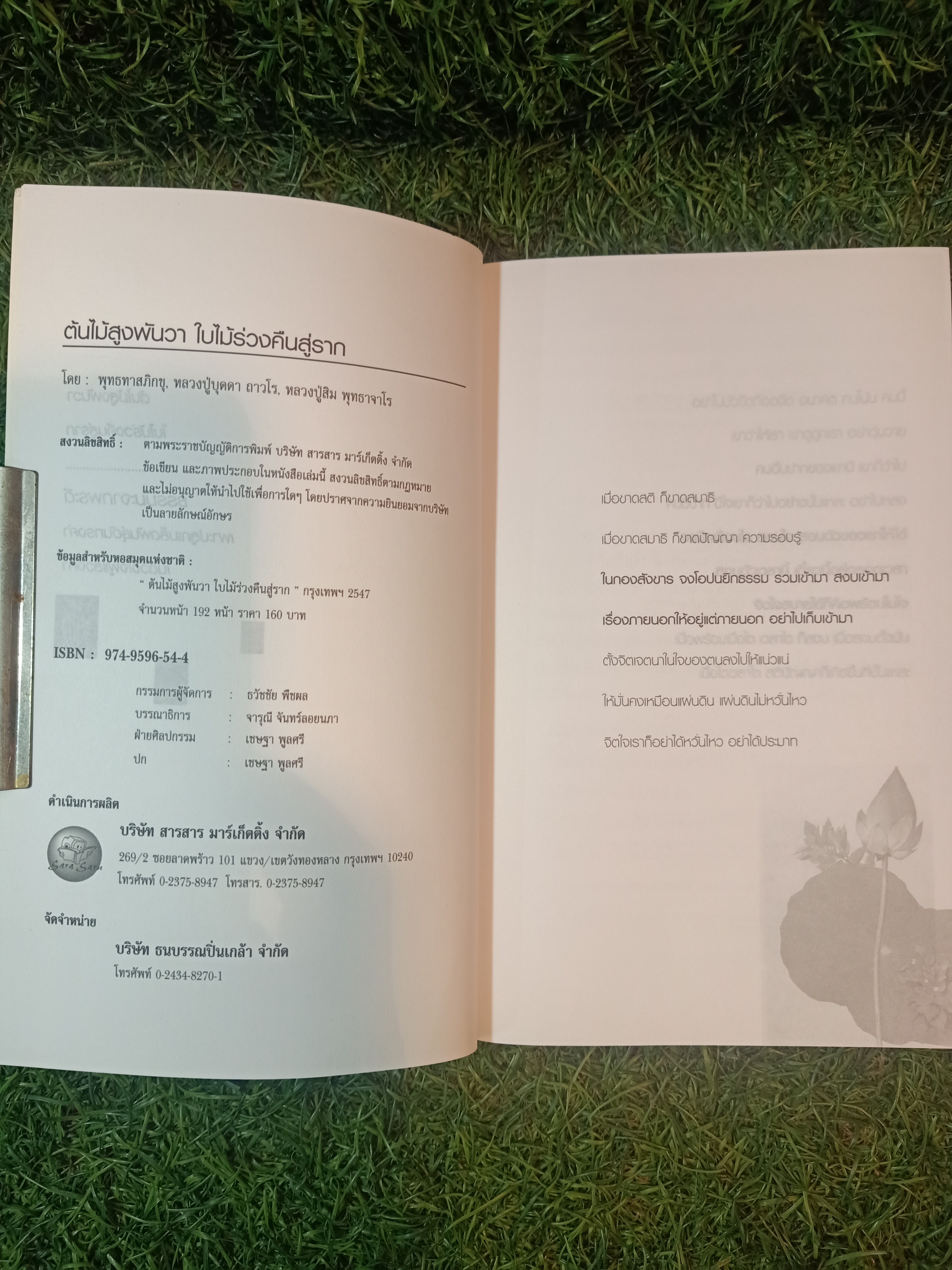 ต้นไม้สูงพันวา ใบไม้ร่วงคืนสู่ราก / พุทธทาสภิกขุ หลวงปู่บุดดาถาวโร หลวงปู่สิม พุทธาจาโร