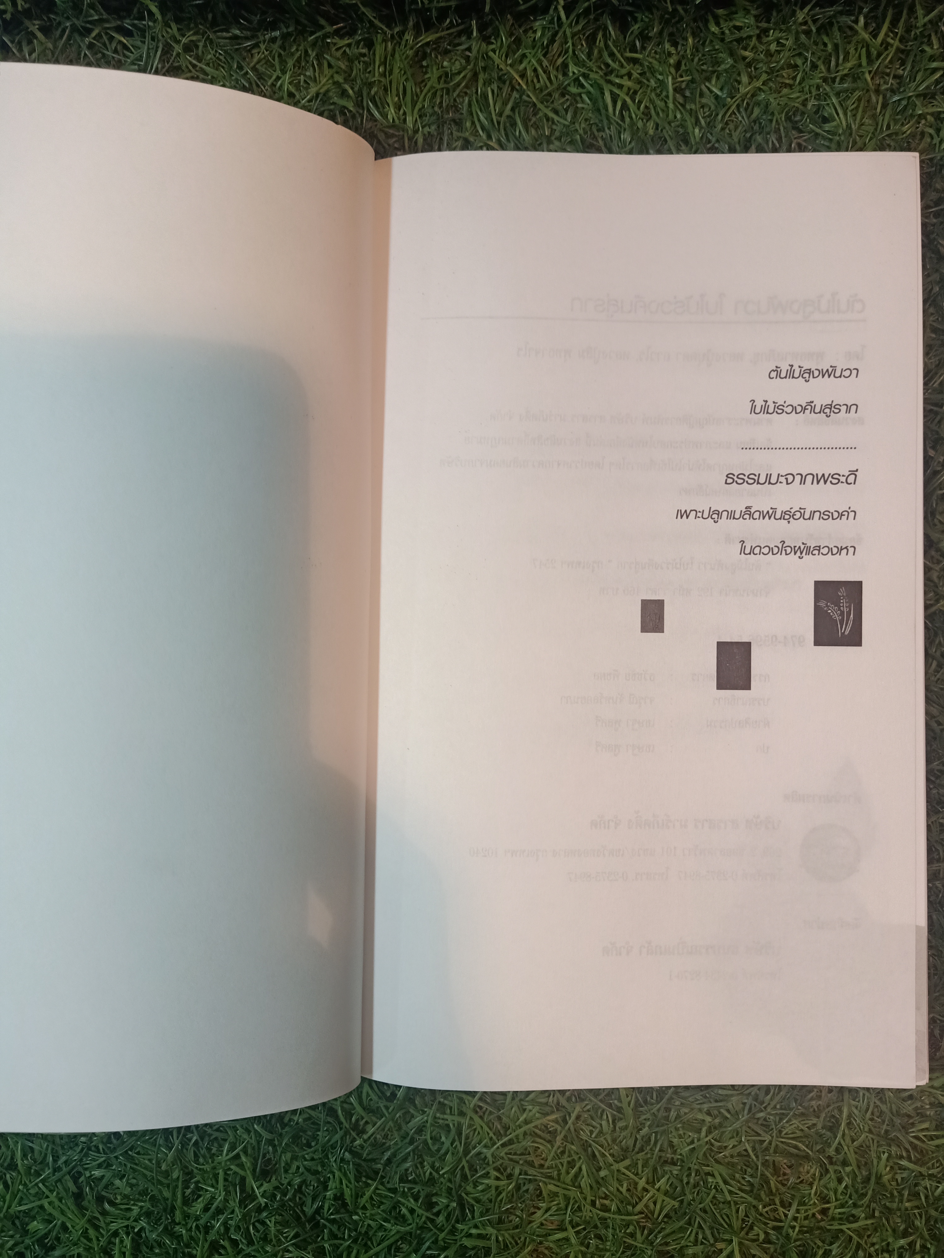 ต้นไม้สูงพันวา ใบไม้ร่วงคืนสู่ราก / พุทธทาสภิกขุ หลวงปู่บุดดาถาวโร หลวงปู่สิม พุทธาจาโร