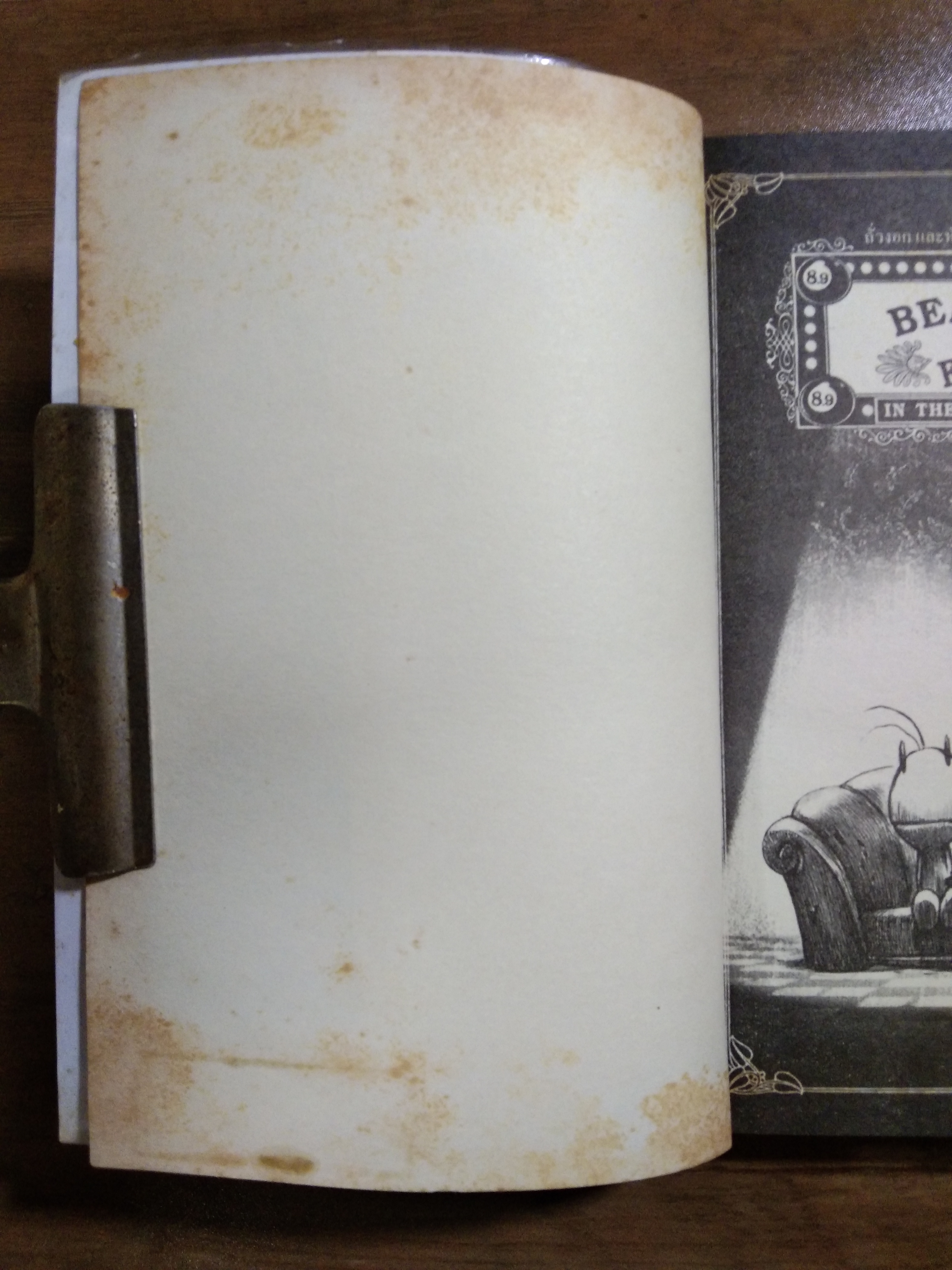 BEANSPROUT & FIREHHEAD IN THE INFINITE MADNESS / ทรงศีล ทิวสมบุญ