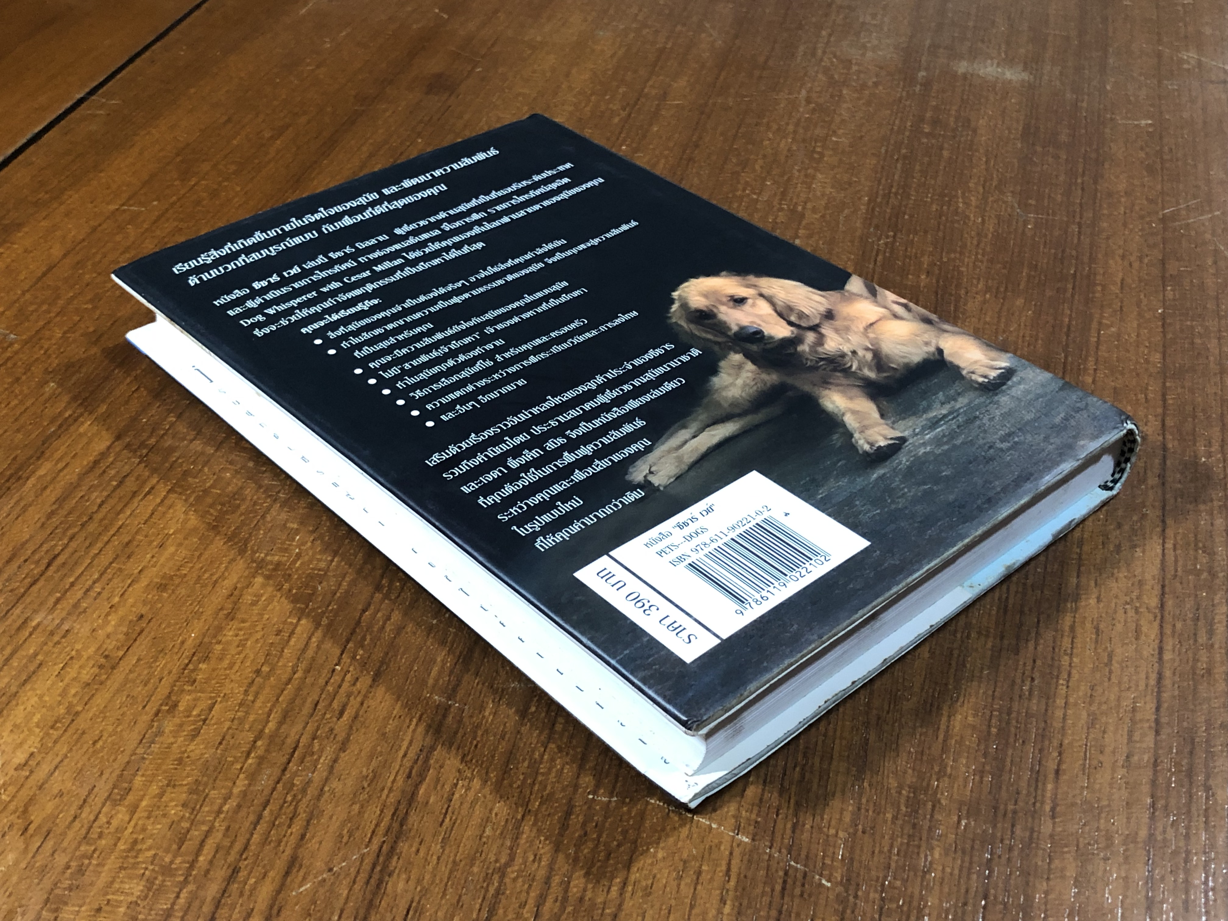 ซีซาร์ เวย์ / ซีซาร์ มิลลาน