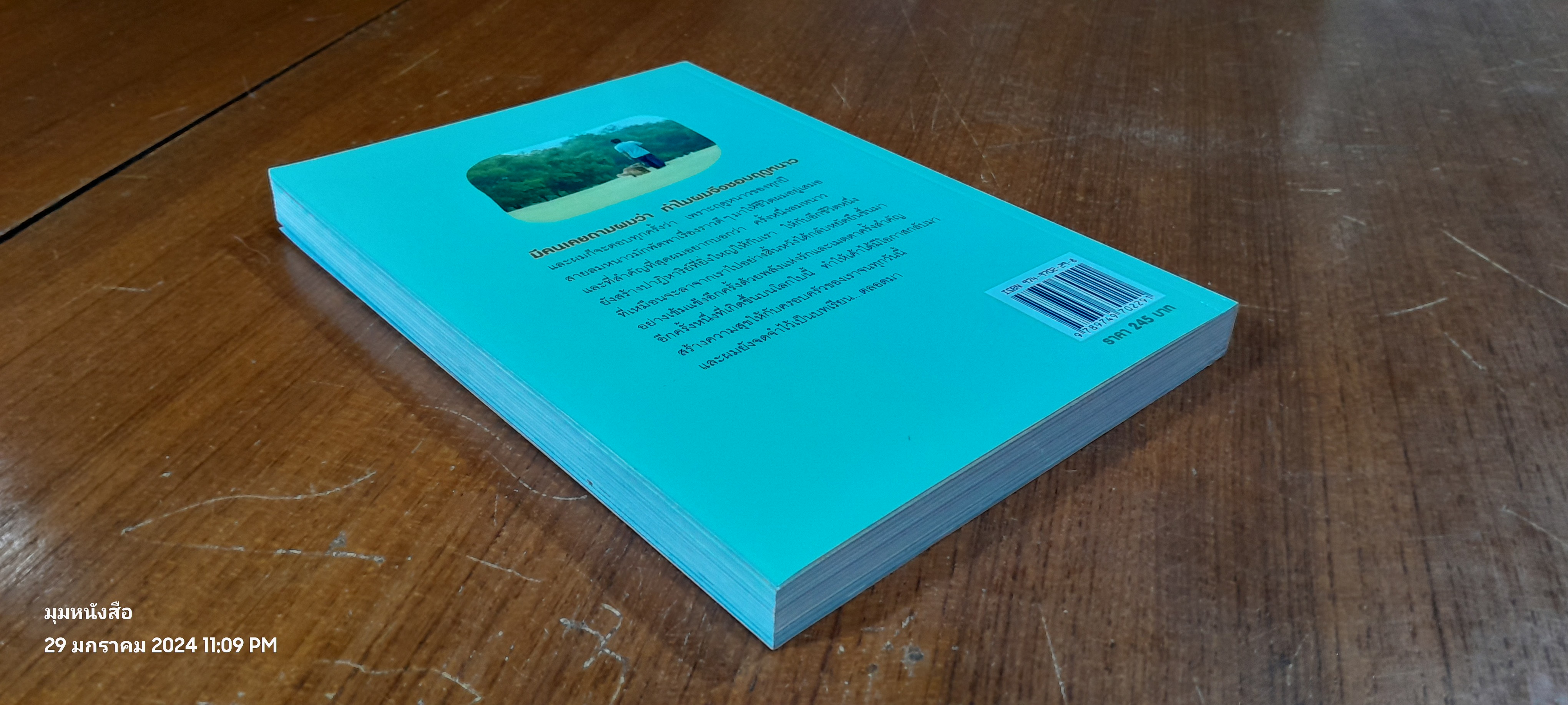 ผมชื่อคิงคองคร้าบ เล่ม 2 ตอน รักไม่มีพรมแดน