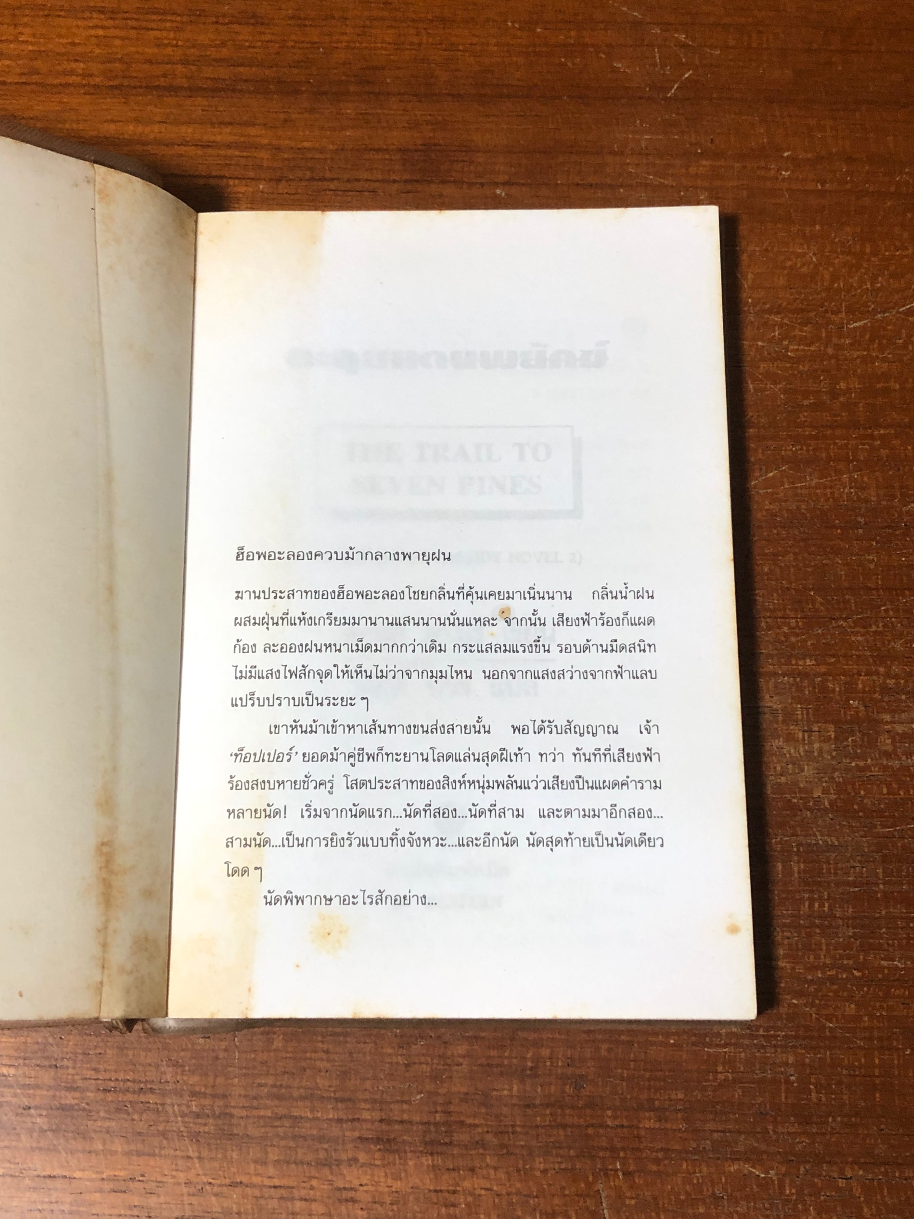 ตะลุยแดนพยัคฆฆ์ / หลุยส์ ลามูร์