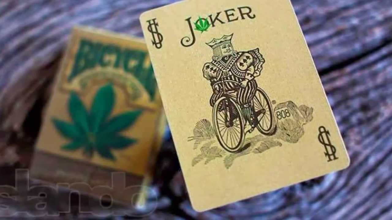 ขายไพ่ Bicycle Hemp Deck ไพ่ลายกัญชา
