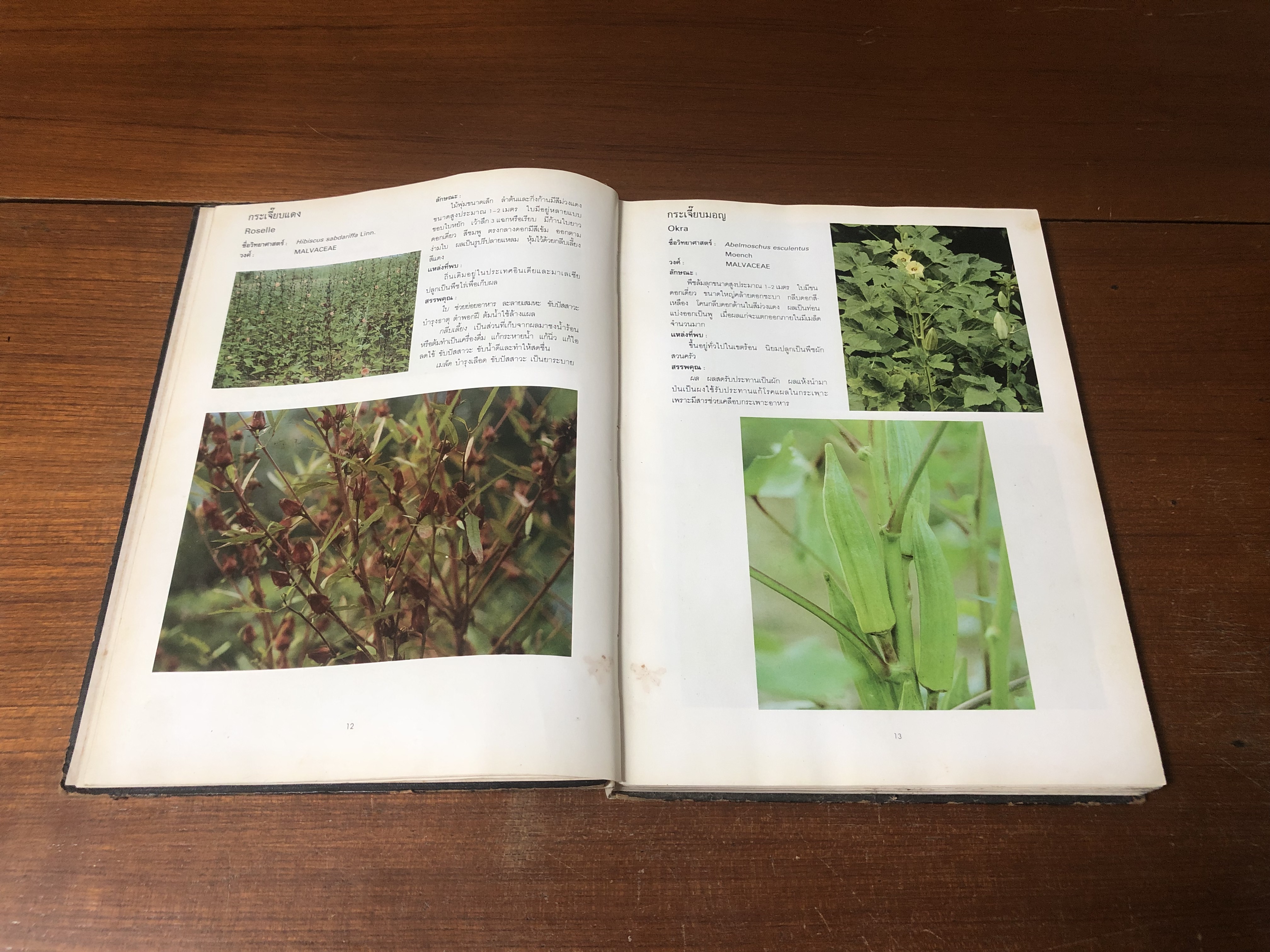 พีชสมุนไพร / ผศ.สมสุข มัจฉาชีพ (ชำรุดมีซ่อมแซม)