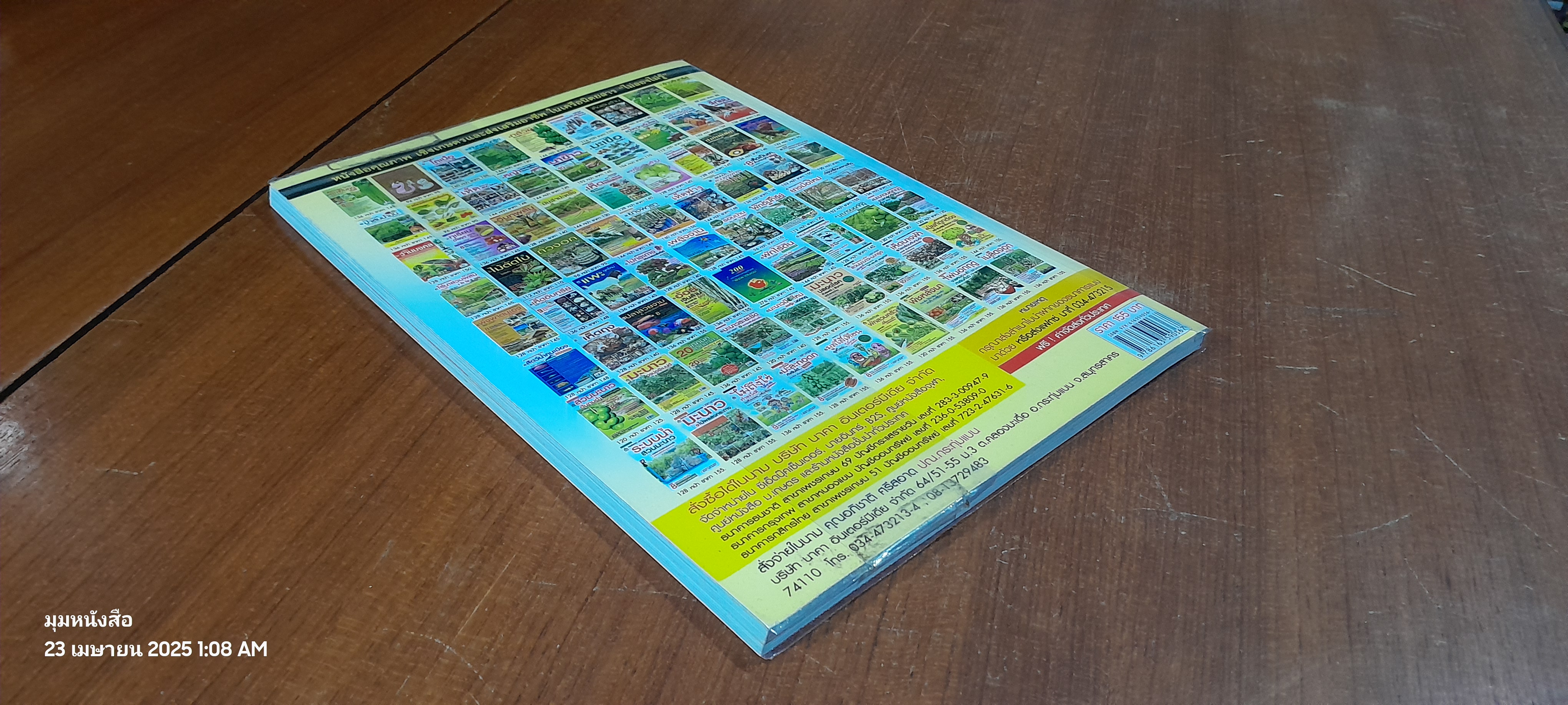 เมล่อน & แคนตาลูป เงินล้าน / อภิชาติ ศรีสอาด