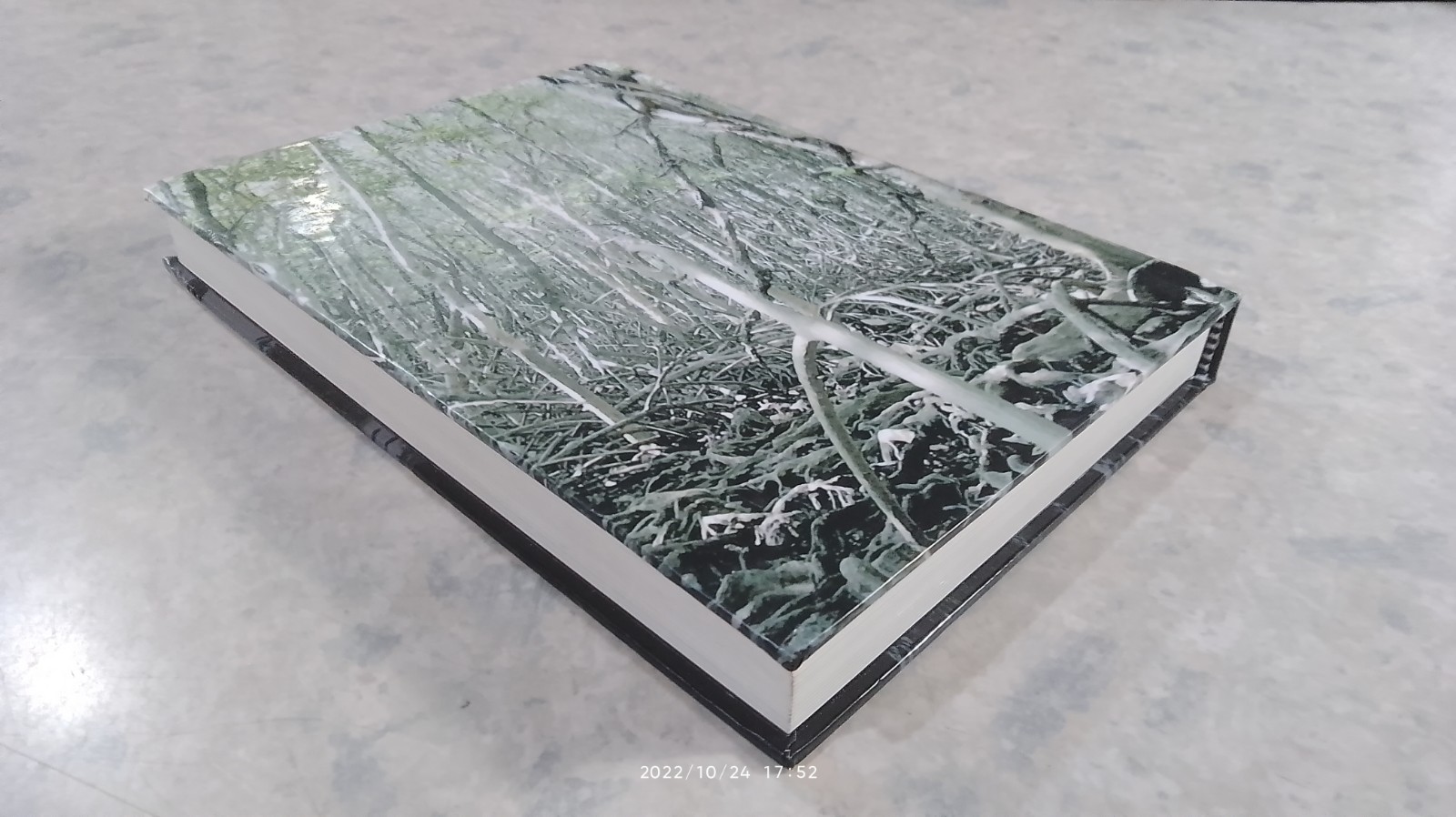 ความหลากหลายทางชีวภาพในป่าชายเลน อ่าวพังงา