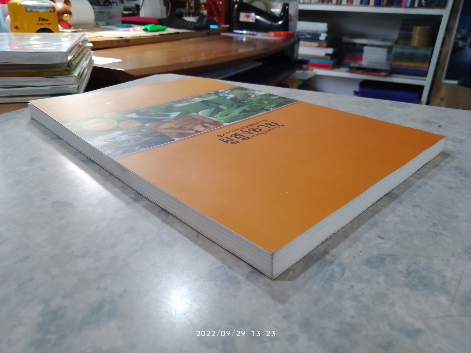 การดูแลสุขภาพผู้สูงอายุแบบบูรณาการ / สสส.