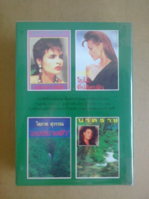 เพลิงสีรุ้ง/1ชุด2เล่ม