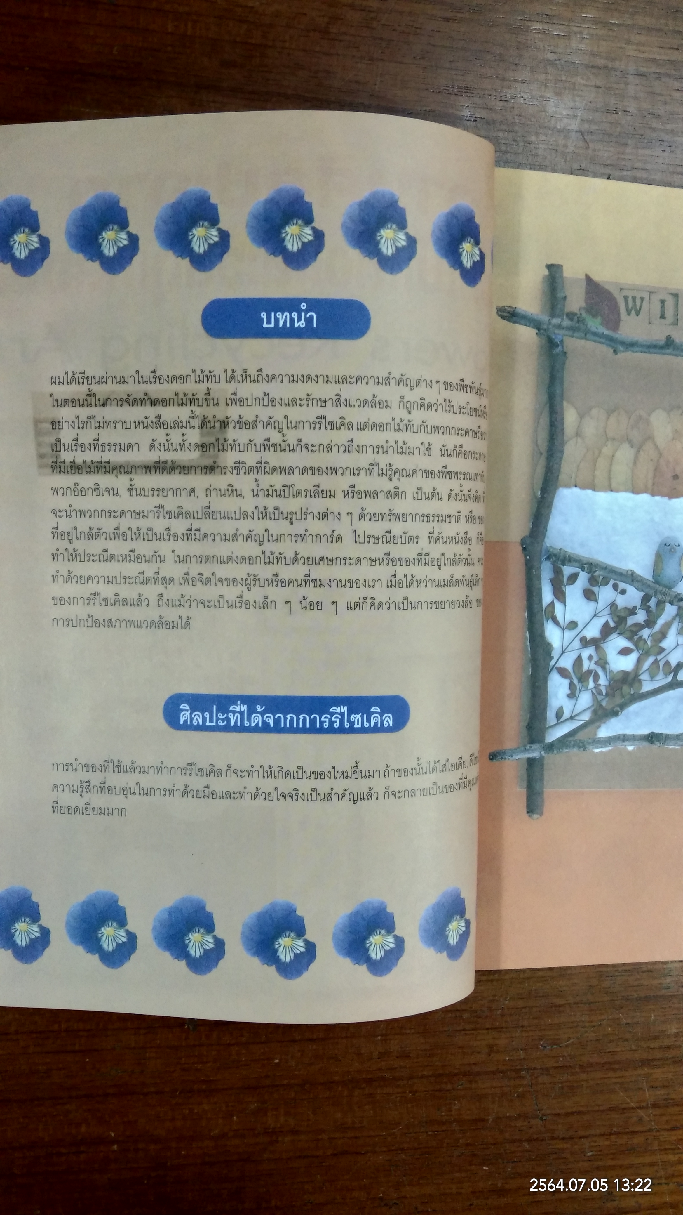 งานศิลปะจากดอกไม้แห้งและวัสดุเหลือใช้ / เพชรกะรัต