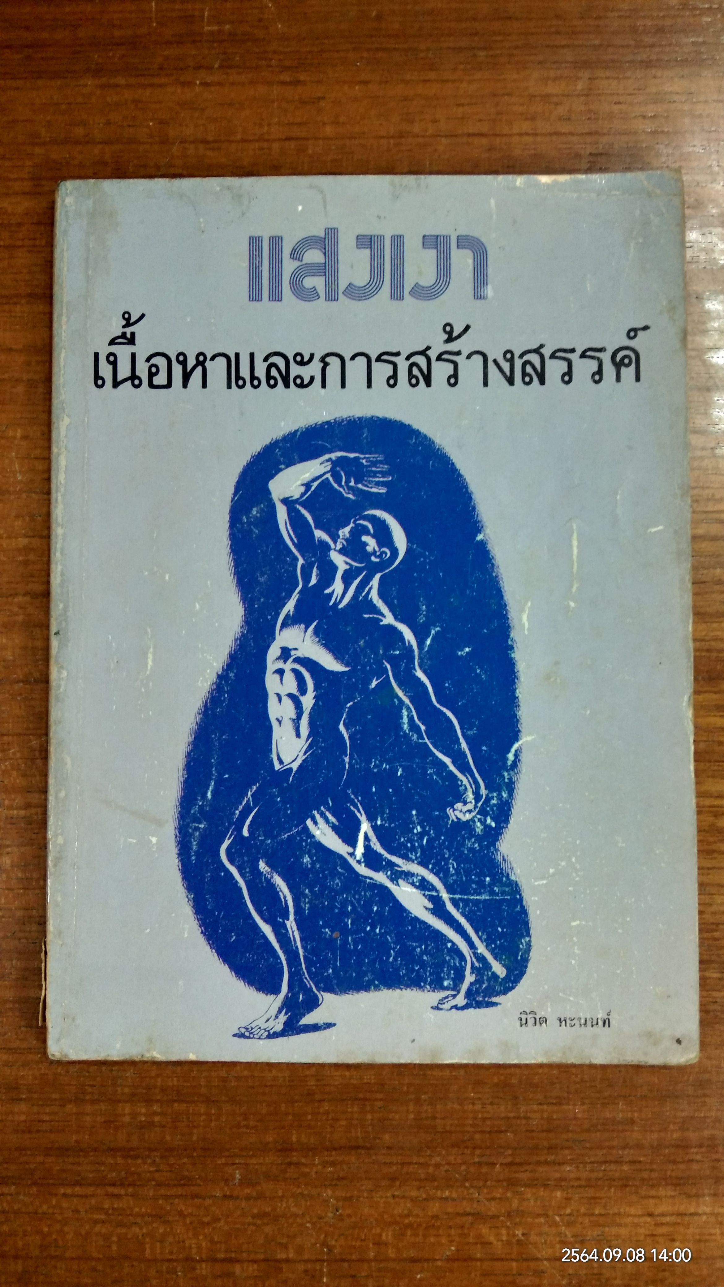 แสงเงา เนื้อและการสร้างสรรค์ / นิวิต หะนนท์