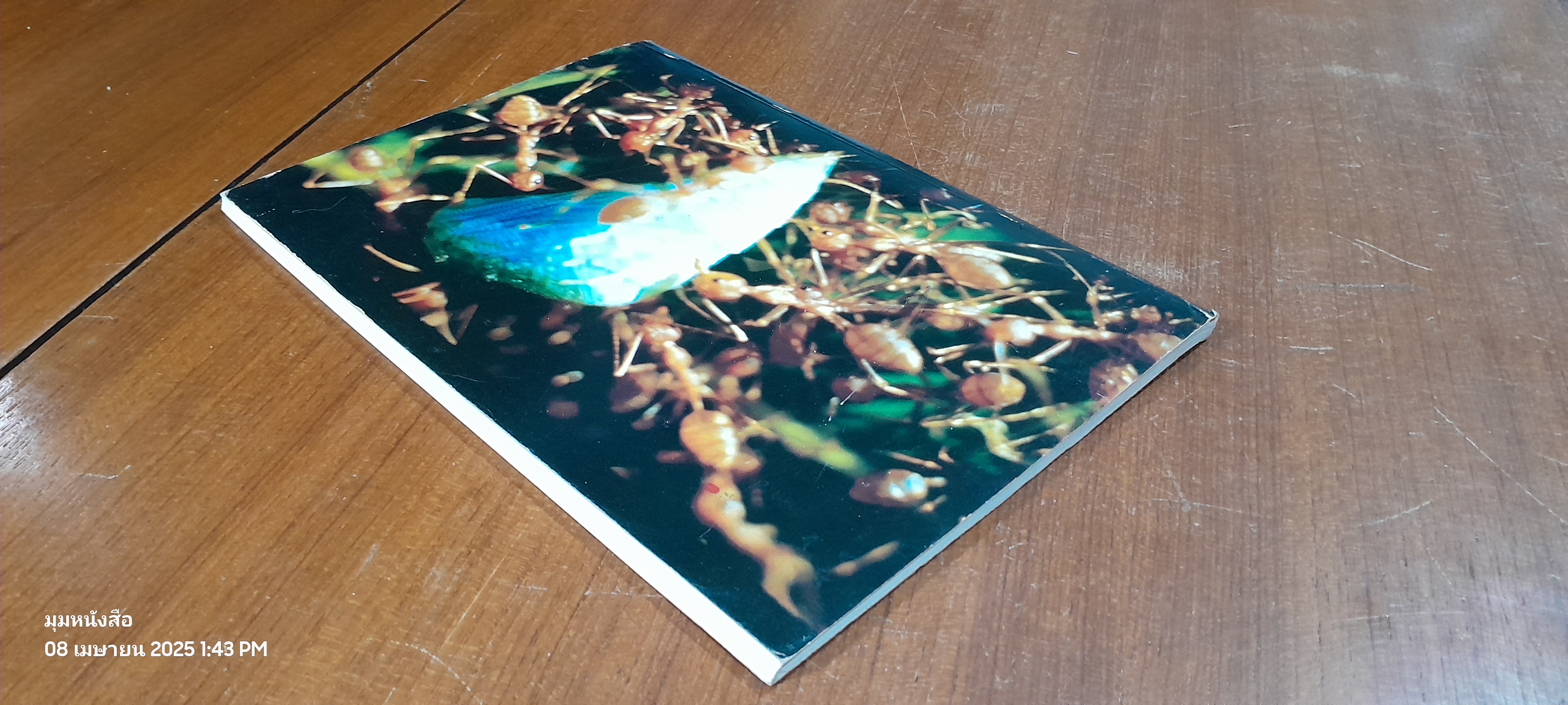 ศัตรูธรรมชาติของศัตรูไม้ผล และการอนุรักษ์ / โกศล เจริญสม,สุอาภา ดิสถาพร