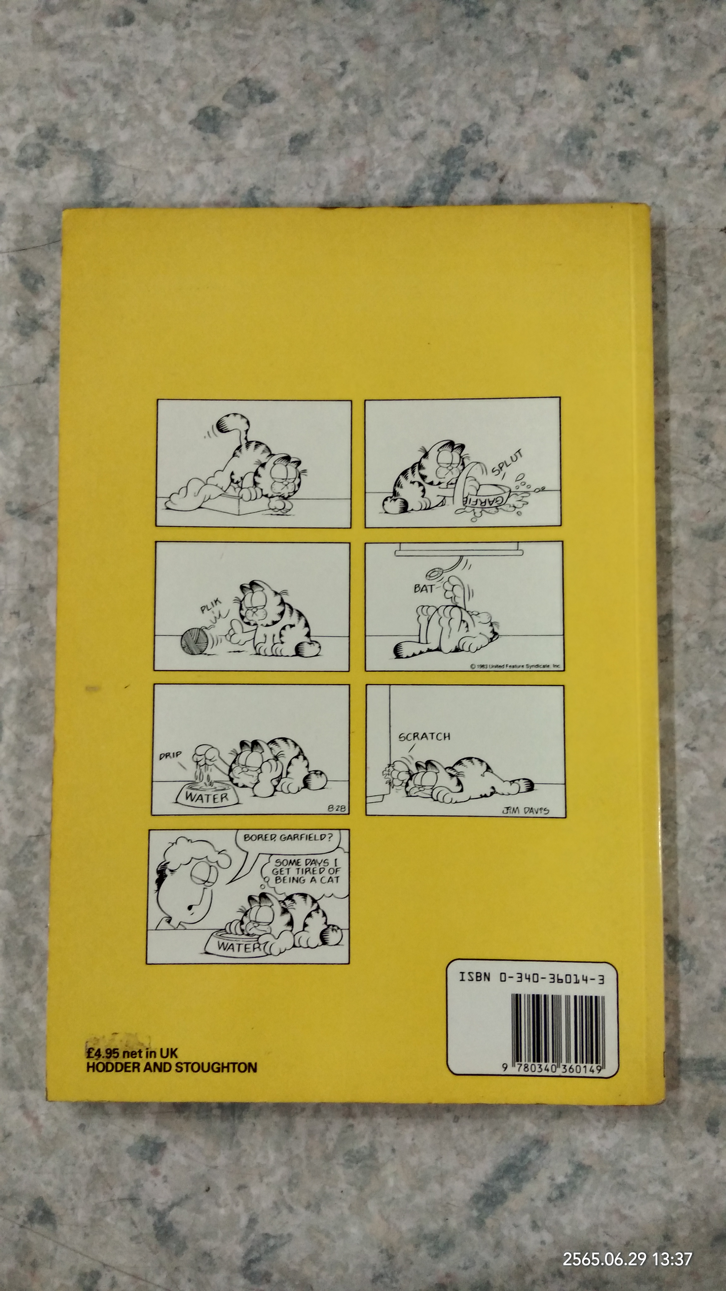 the Garfield Gallery 2 / JiM DAViS