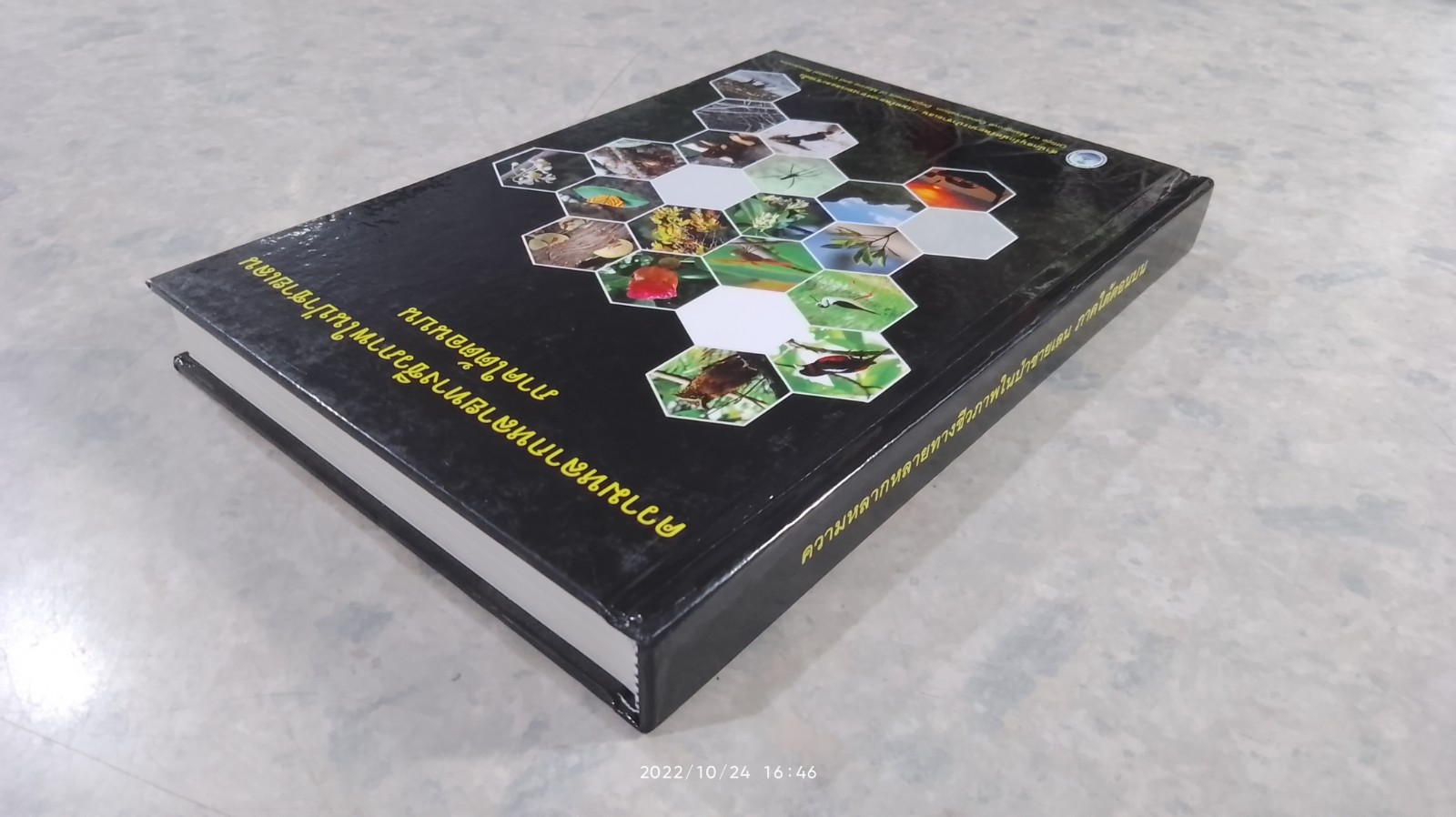 ความหลากหลายทางชีวภาพในป่าชายเลน ภาคใต้ตอนบน