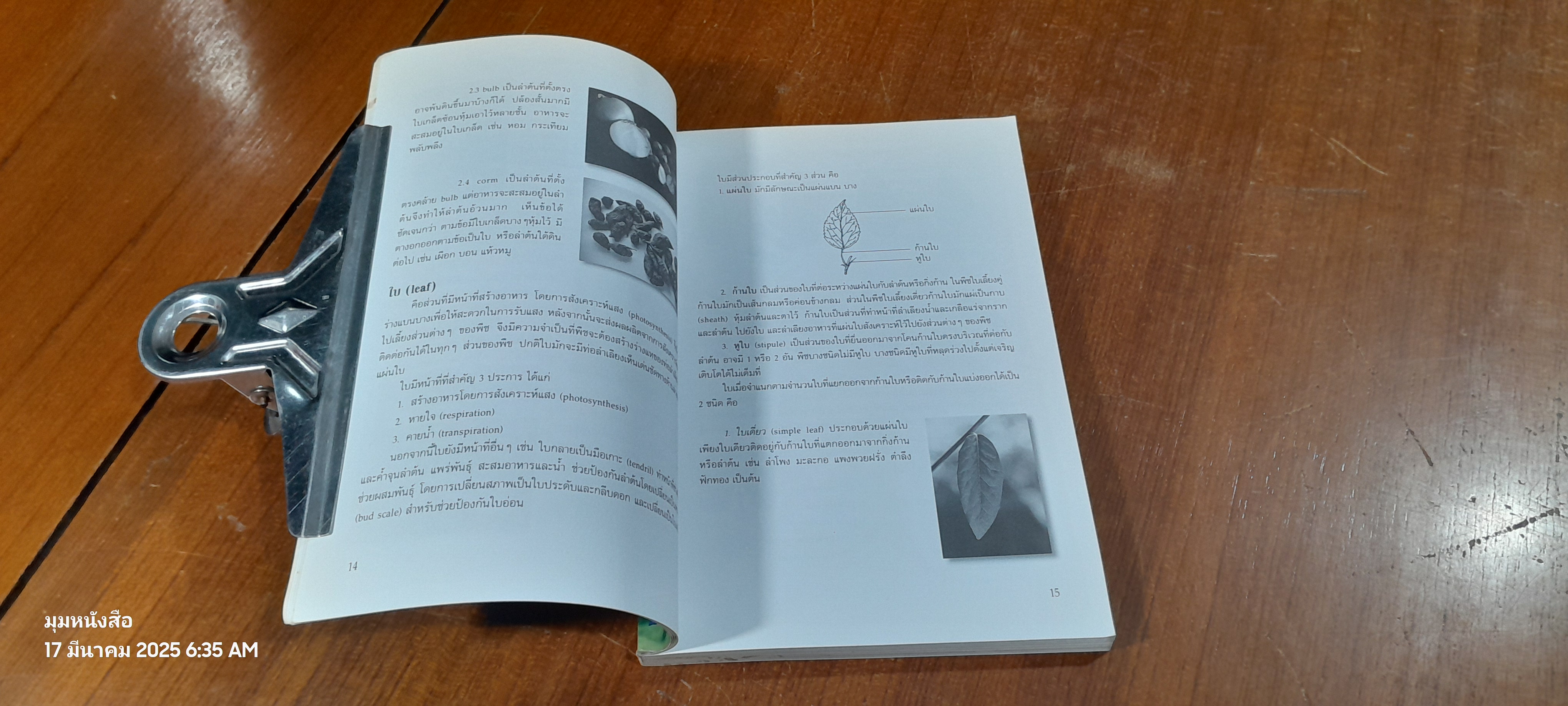 สมุนไพรยาไทยที่ควรรู้ / รุ่งระวี เต็มศิริฤกษ์กุล