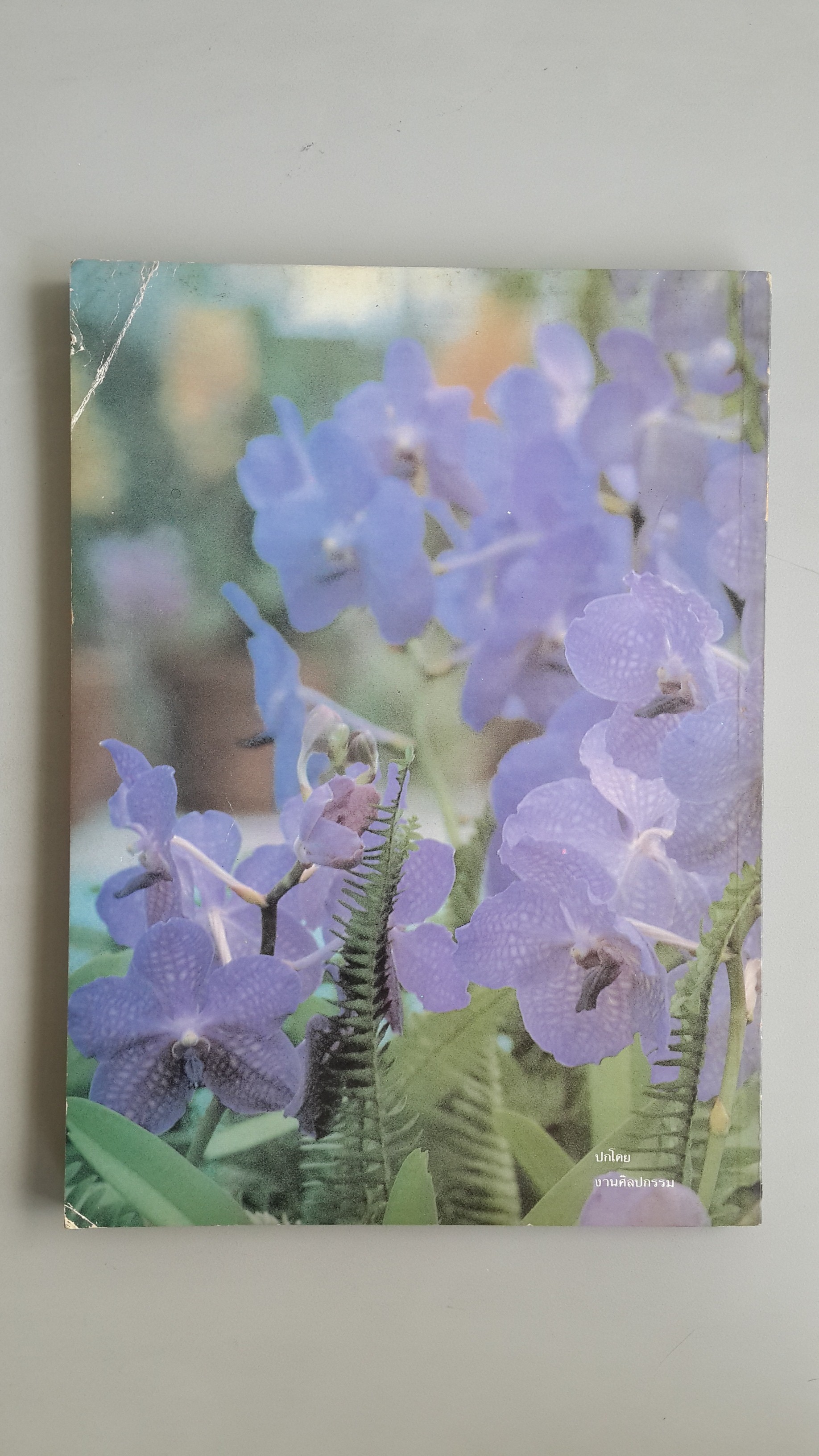 รวมเพลงไทย-ประวัติเพลงไทย(เดิม) / สถานีวิทยุกระจายเสียงแห่งประเทศไทย กรมประชาสัมพันธ์