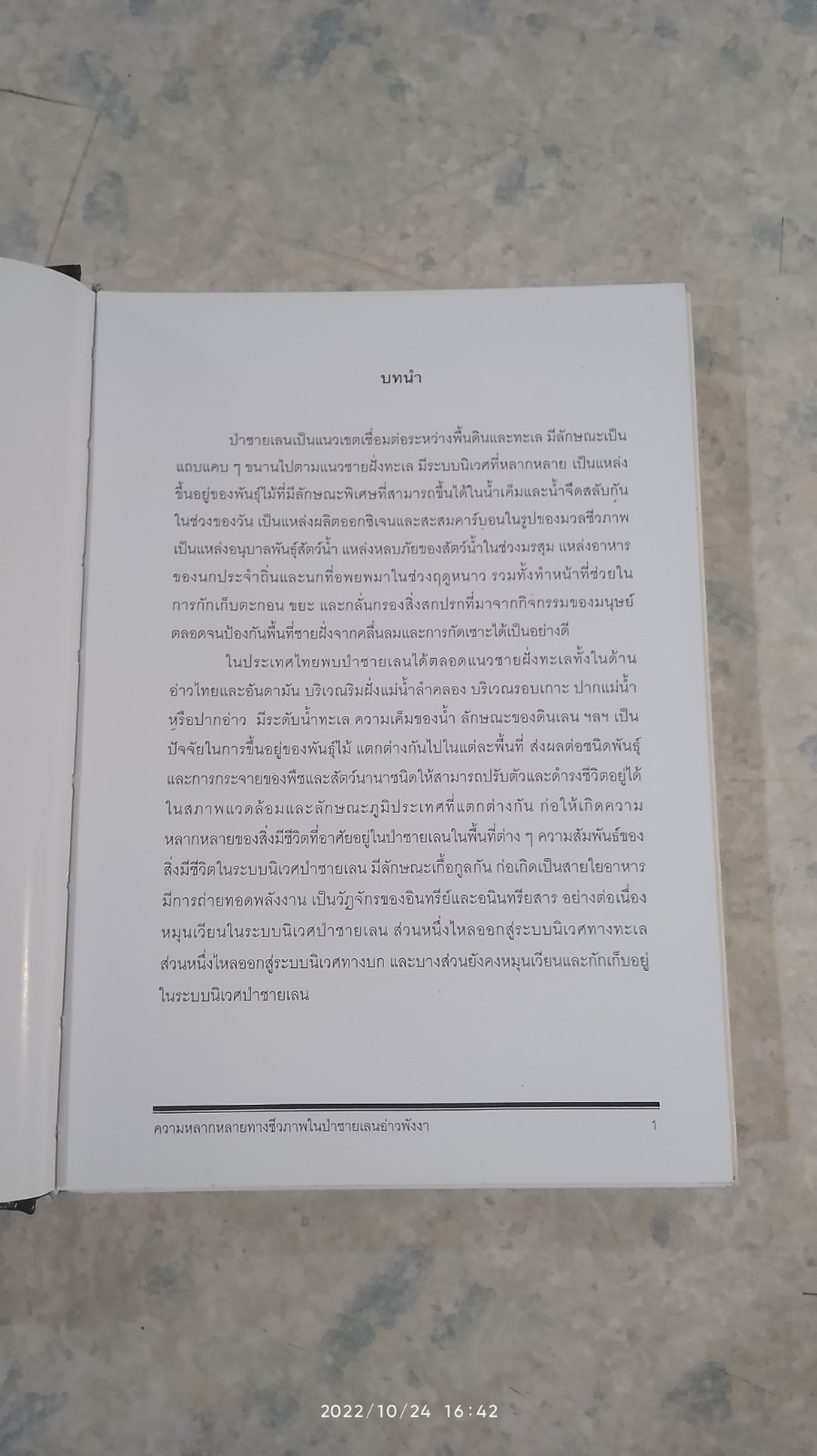 ความหลากหลายทางชีวภาพในป่าชายเลน อ่าวพังงา