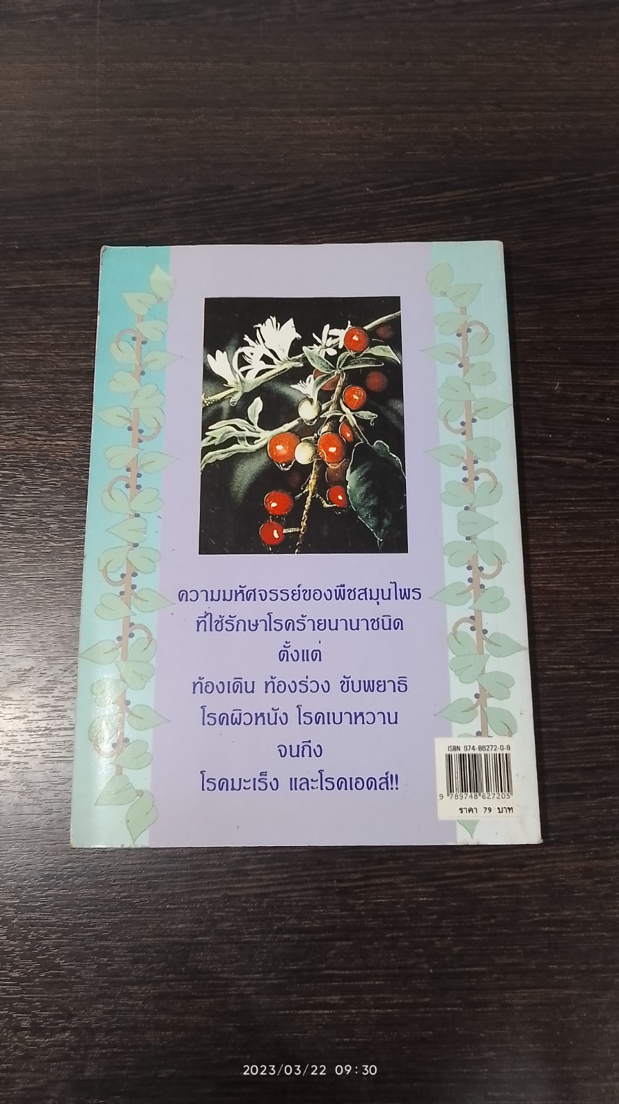 หายเจ็บไข้ด้วยยาสมุนไพร / นายเปรี้ยวหวาน