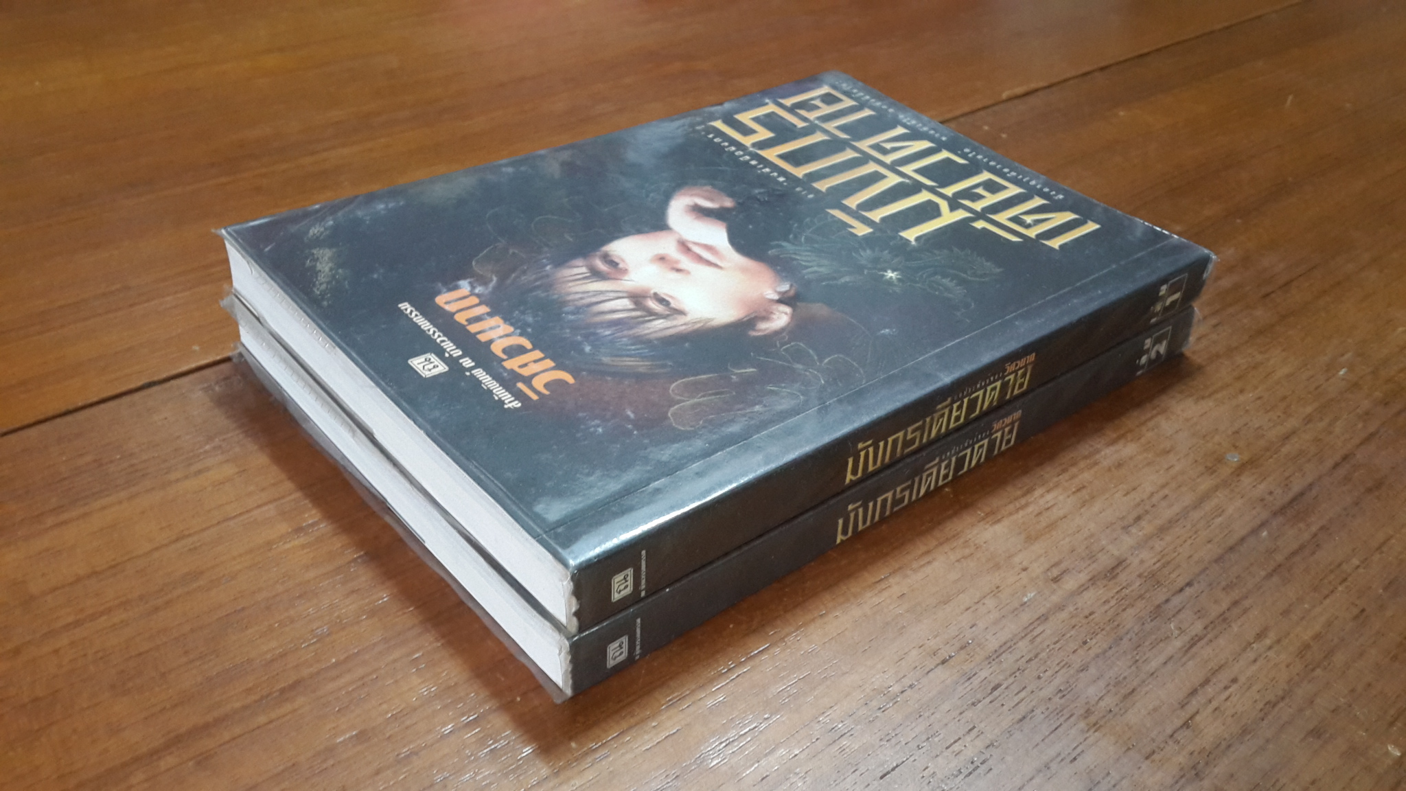 มังกรเดียวดาย (2เล่มจบ) / วิศวนาถ