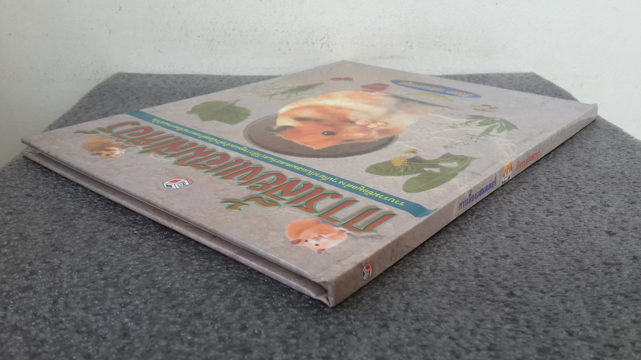 การเลี้ยงแฮมสเตอร์ / ภัทรา แสงดานุช