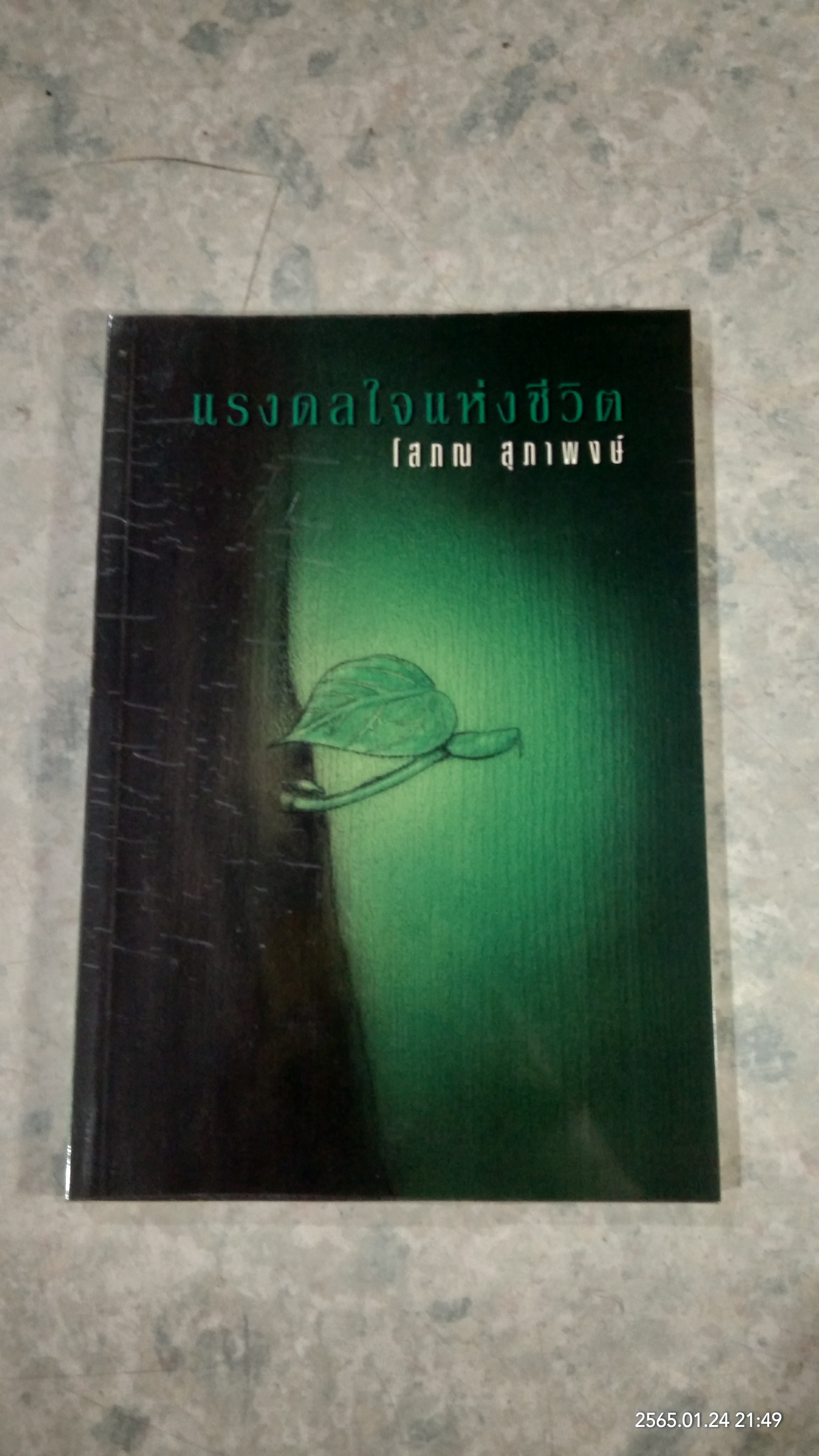 แรงดลใจแห่งชีวิต / โสภณ สุภาพงษ์