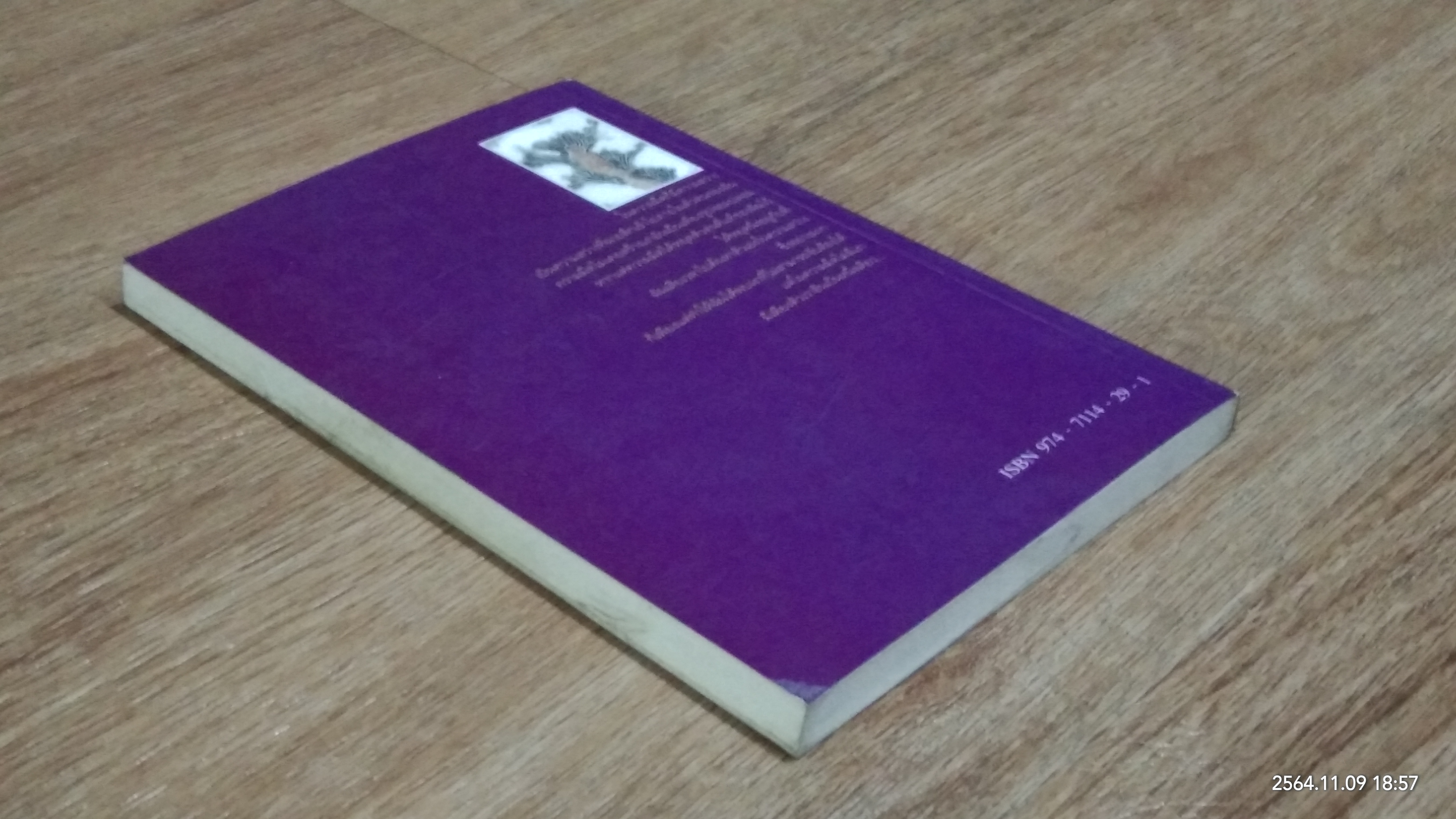 รอยเท้าบนปุยเมฆ / เสถียร จันทิมาธร