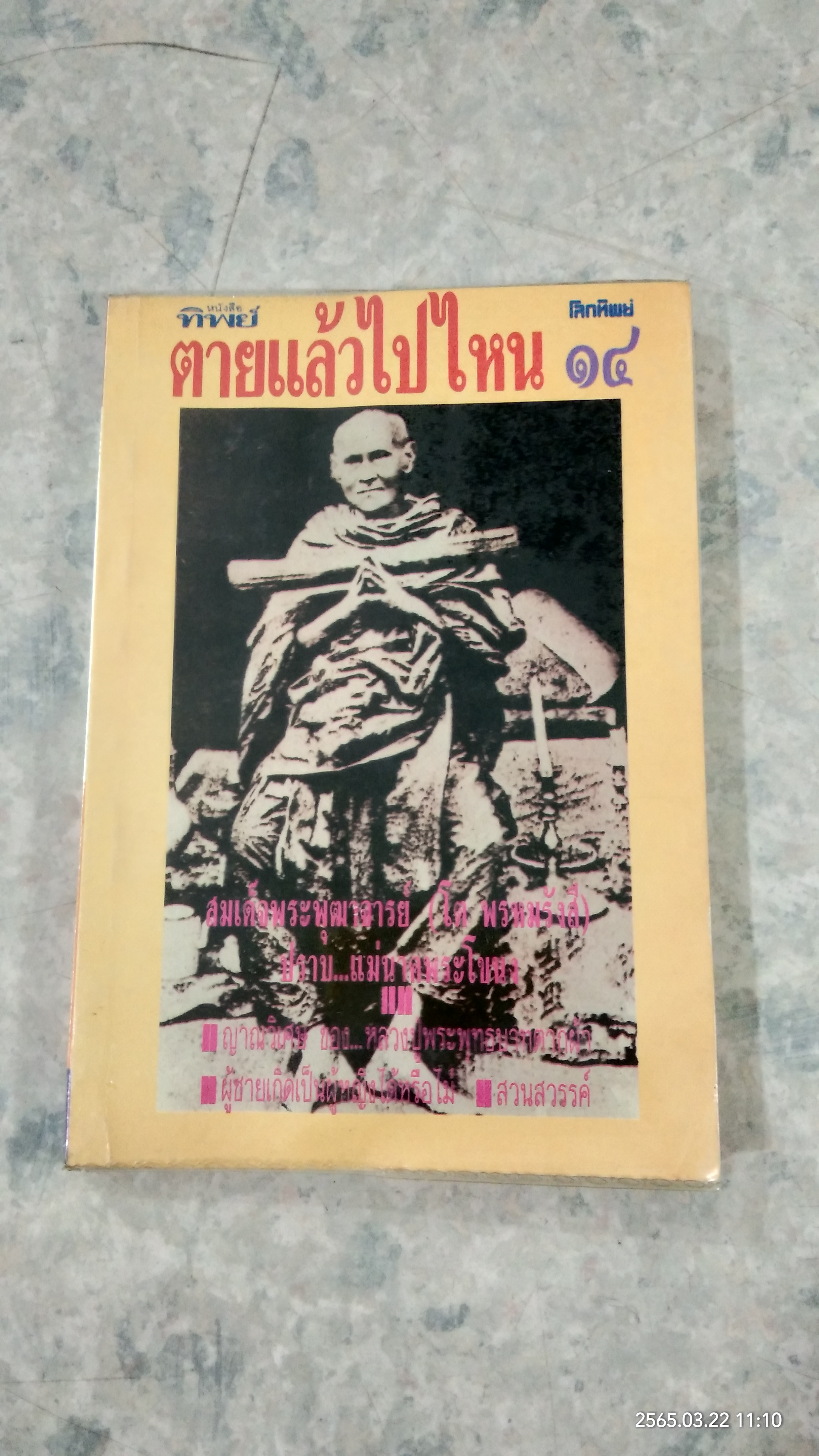 ตายแล้วไปไหน / ทิพย์