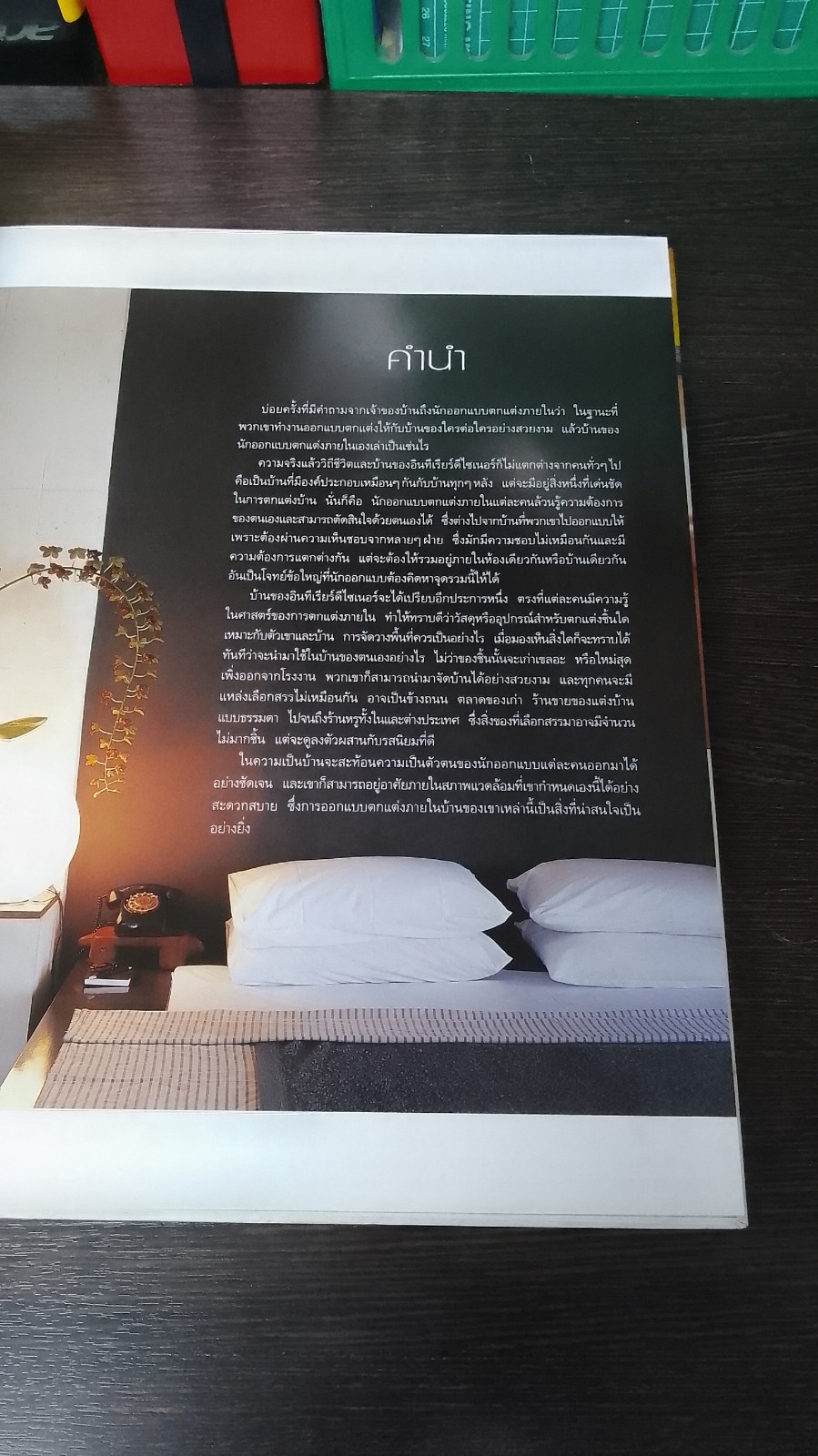 บ้านดีไซเนอร์ / บ้านและสวน