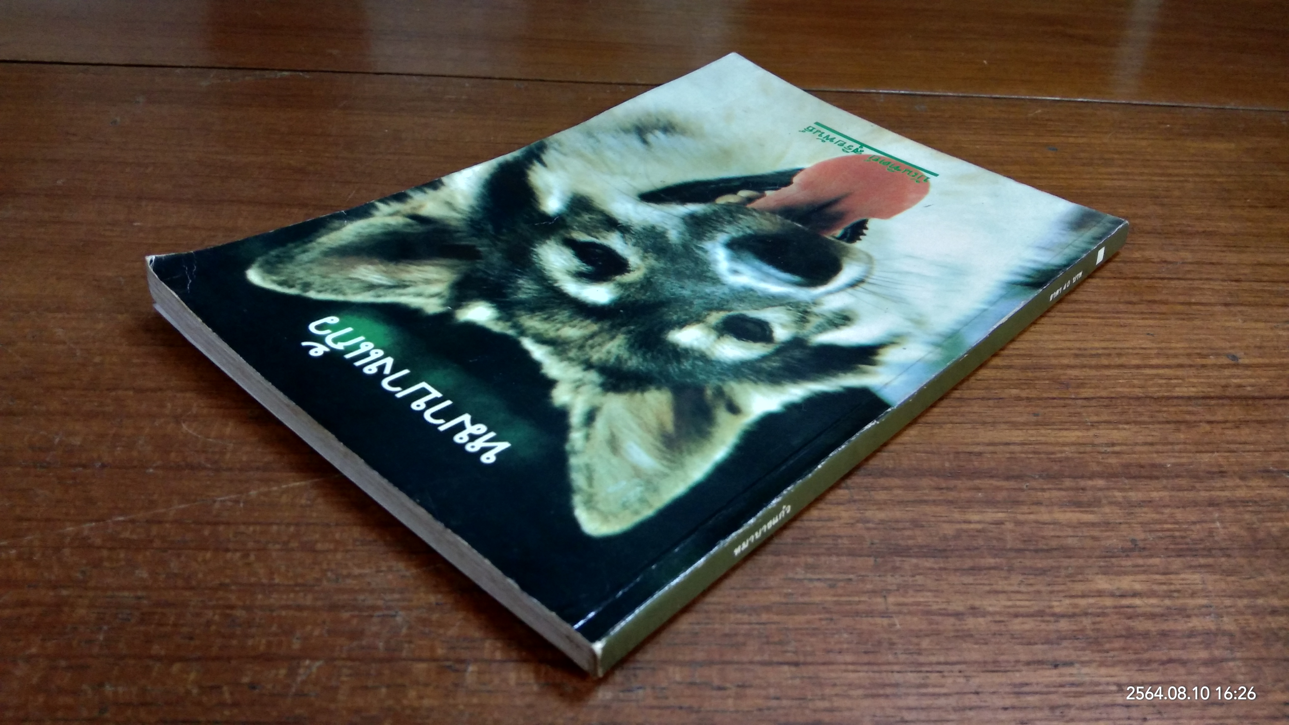 หมาบางแก้ว / บัณฑิตย์ สุริยพันธ์