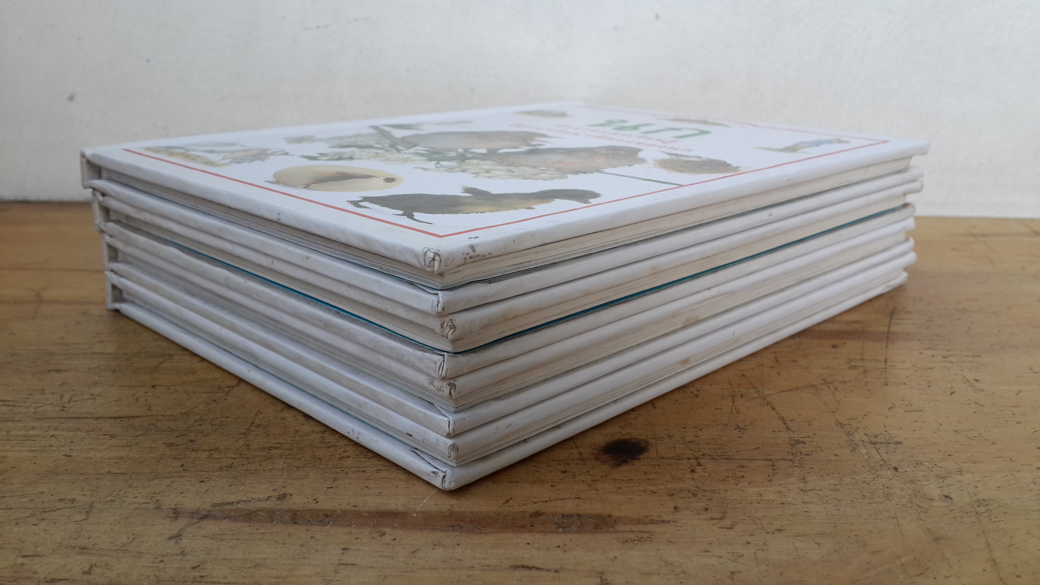 ชุดนักสำรวจน้อย : ลมฟ้าอากาศ นก ดอกไม้ แมลง (1ชุด4เล่ม-ปกแข็ง) / หนังสือเด็ก รักลูก