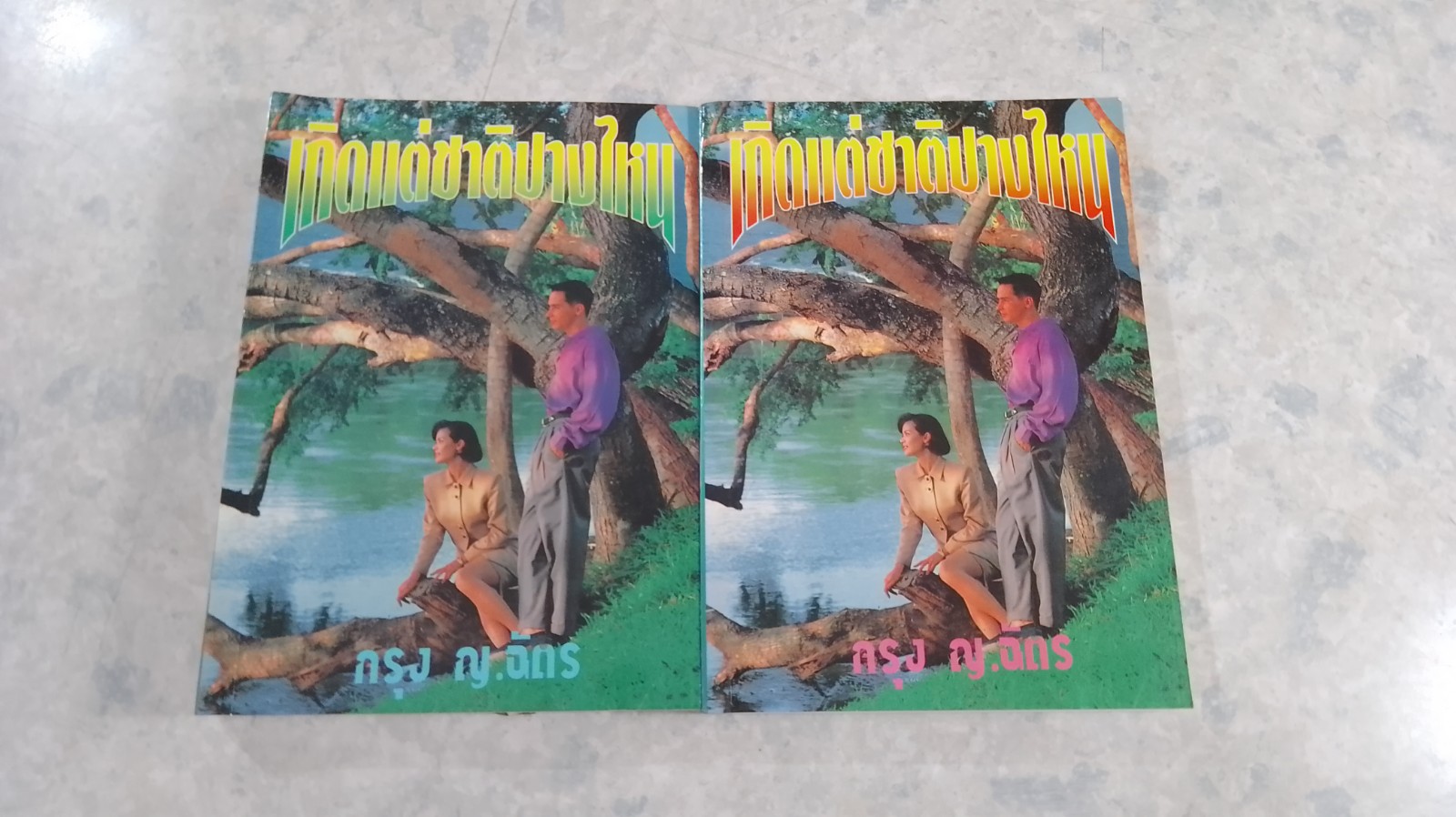 เกิดแต่ชาติปางไหน (2เล่มจบ) / กรุง ญ.ฉัตร