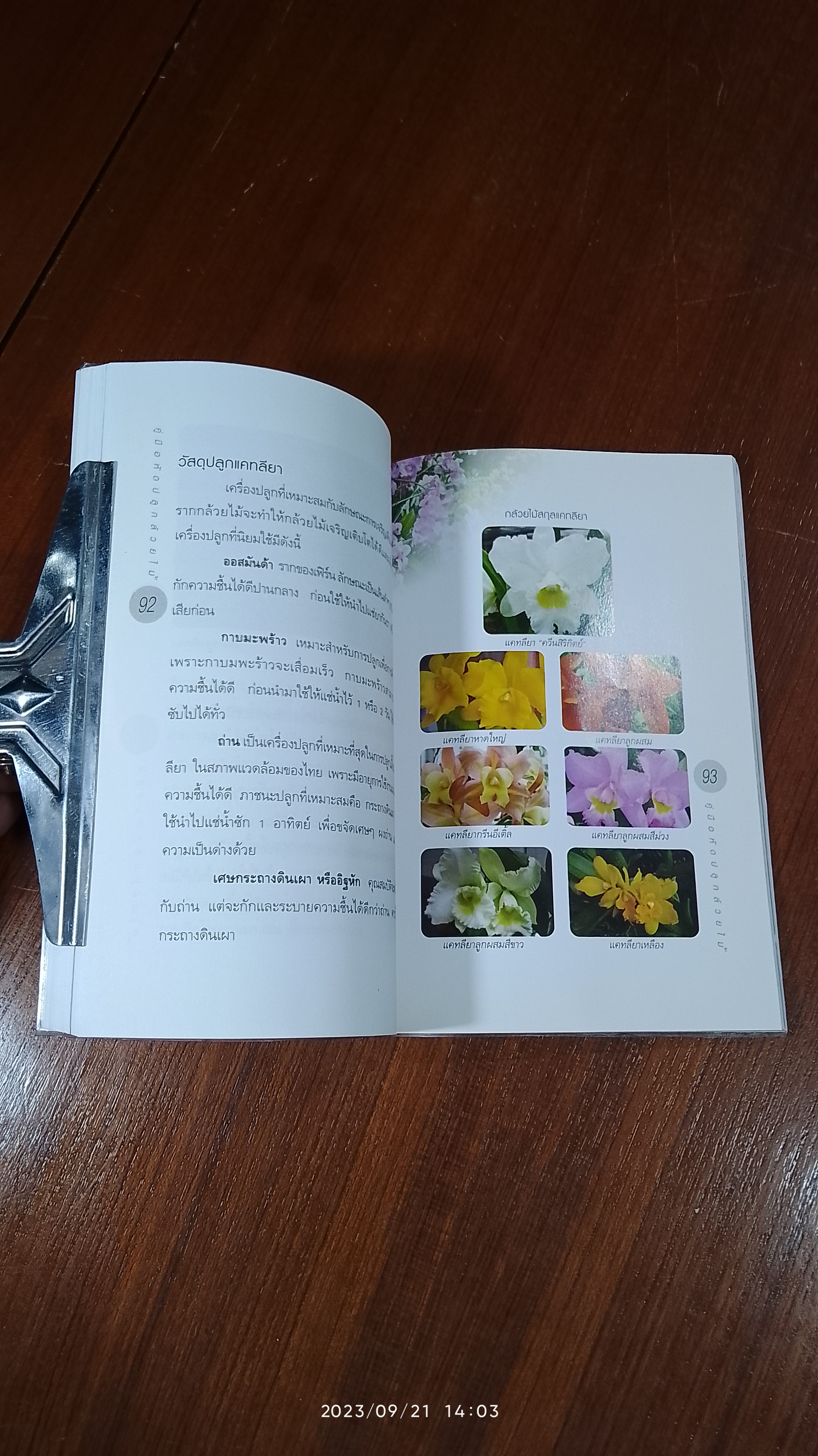 คู่มือหัดปลูกกล้วยไม้ / เพชรทวีปัญญา