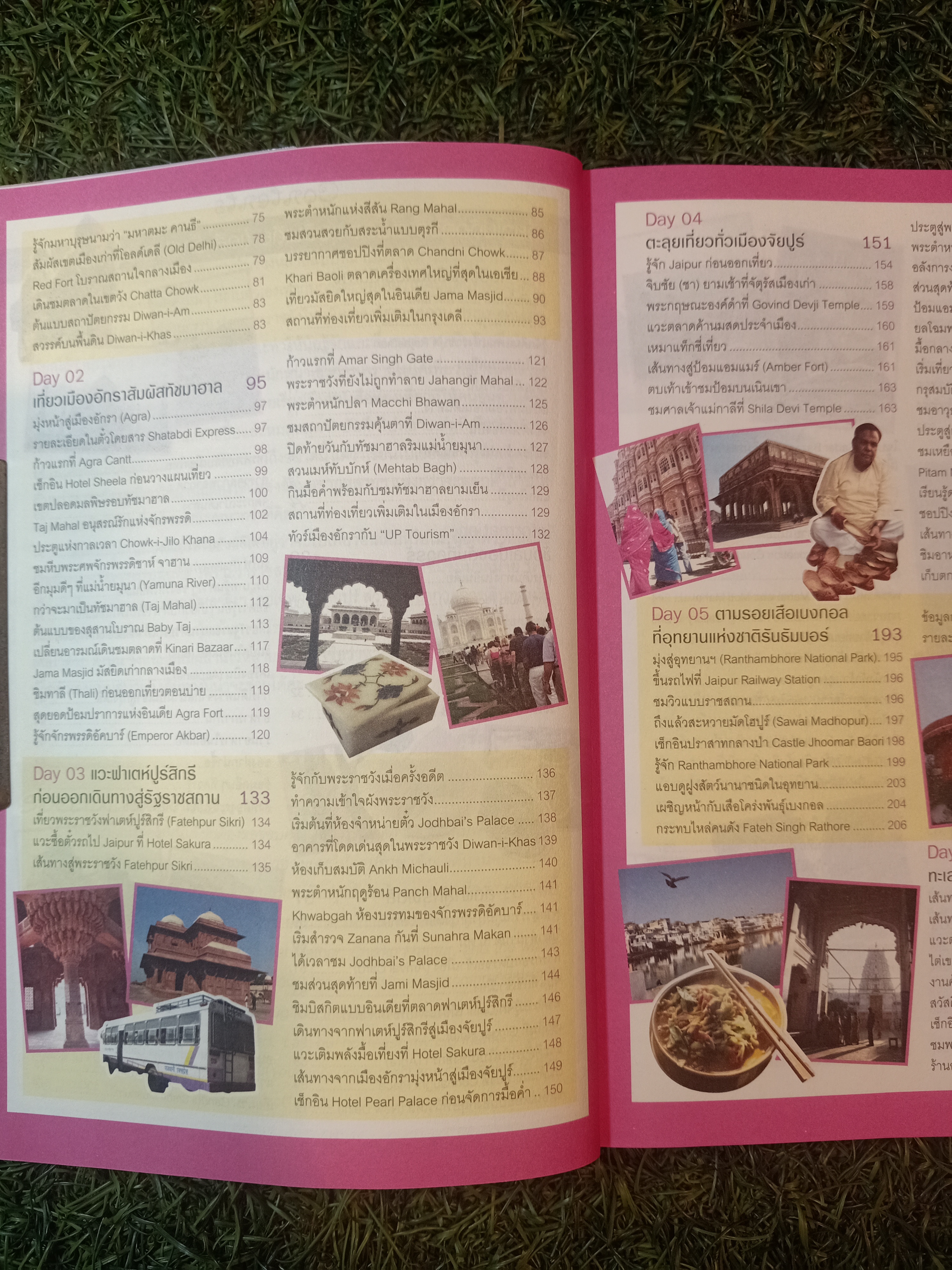 เที่ยวไม่ง้อ ทัวร์ ตีตั้๋วตะลุย อินเดีย (เดลี - อักรา - ราชสถาน) / Thai inter BOOK