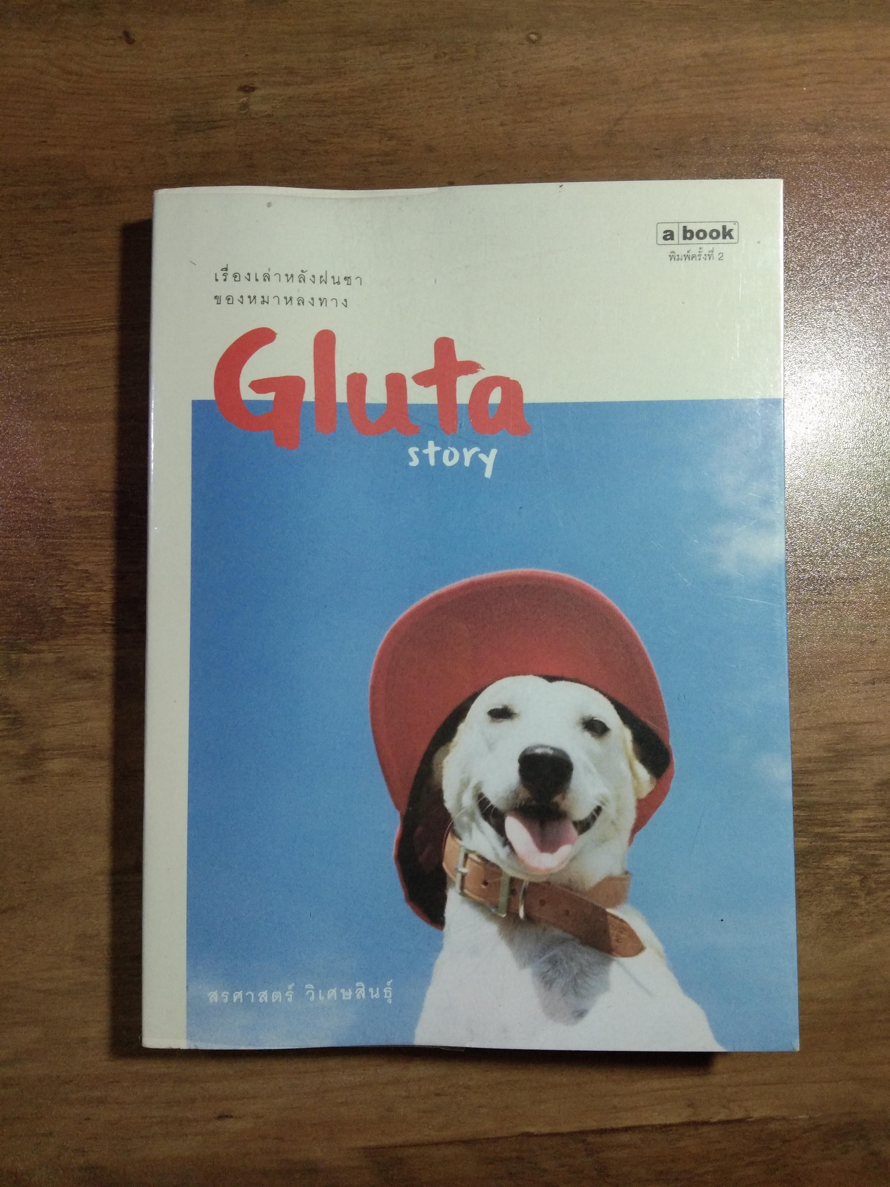 Gulta story เรื่องเล่าหลังฝนซา ของหใาหลงทาง / สรศาสตร์ วิเศษสินธุ์