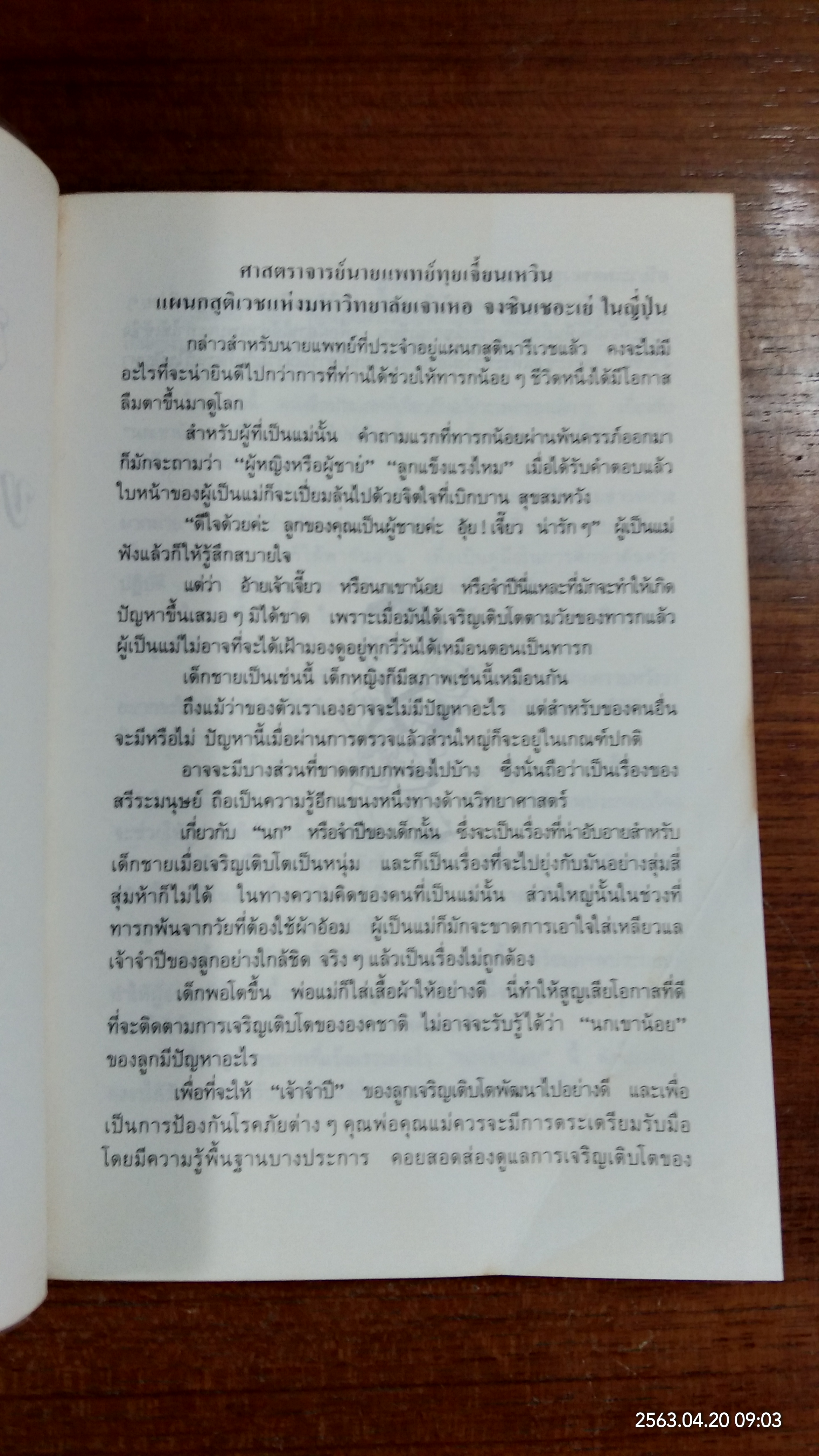 ปัญหาใหญ่ของนกเขาน้อย / รุ่งรวี ภาณุพิศุทธิ์