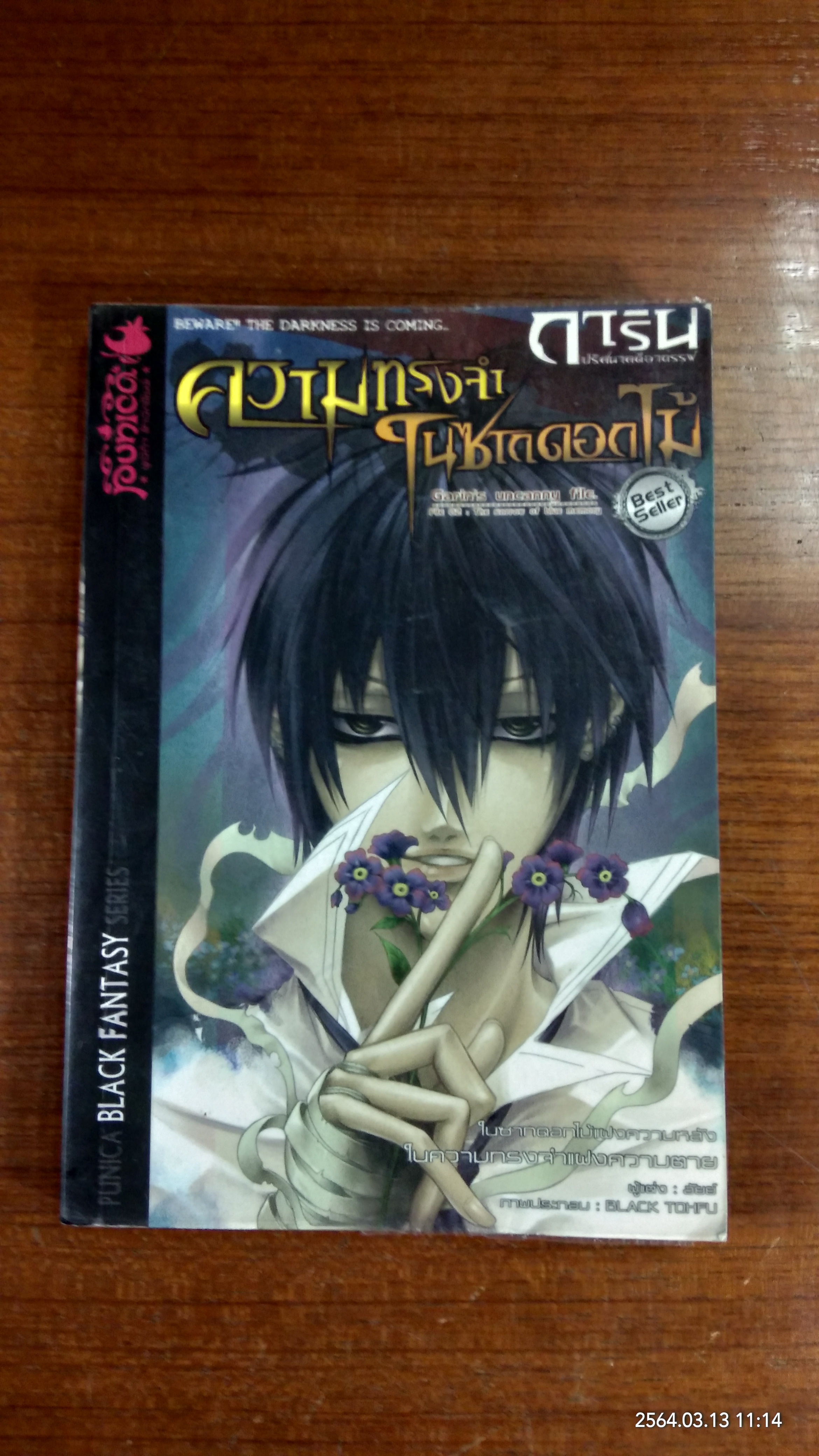 การิน ปริศนาคดีอาถรรพ์ ตอน ความทรงจำในซากดอกไม้ / อัยย์