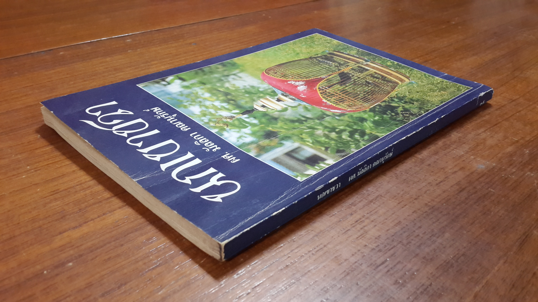 นกเขาชวา / ผศ.มัลลิกา คณานุรักษ์