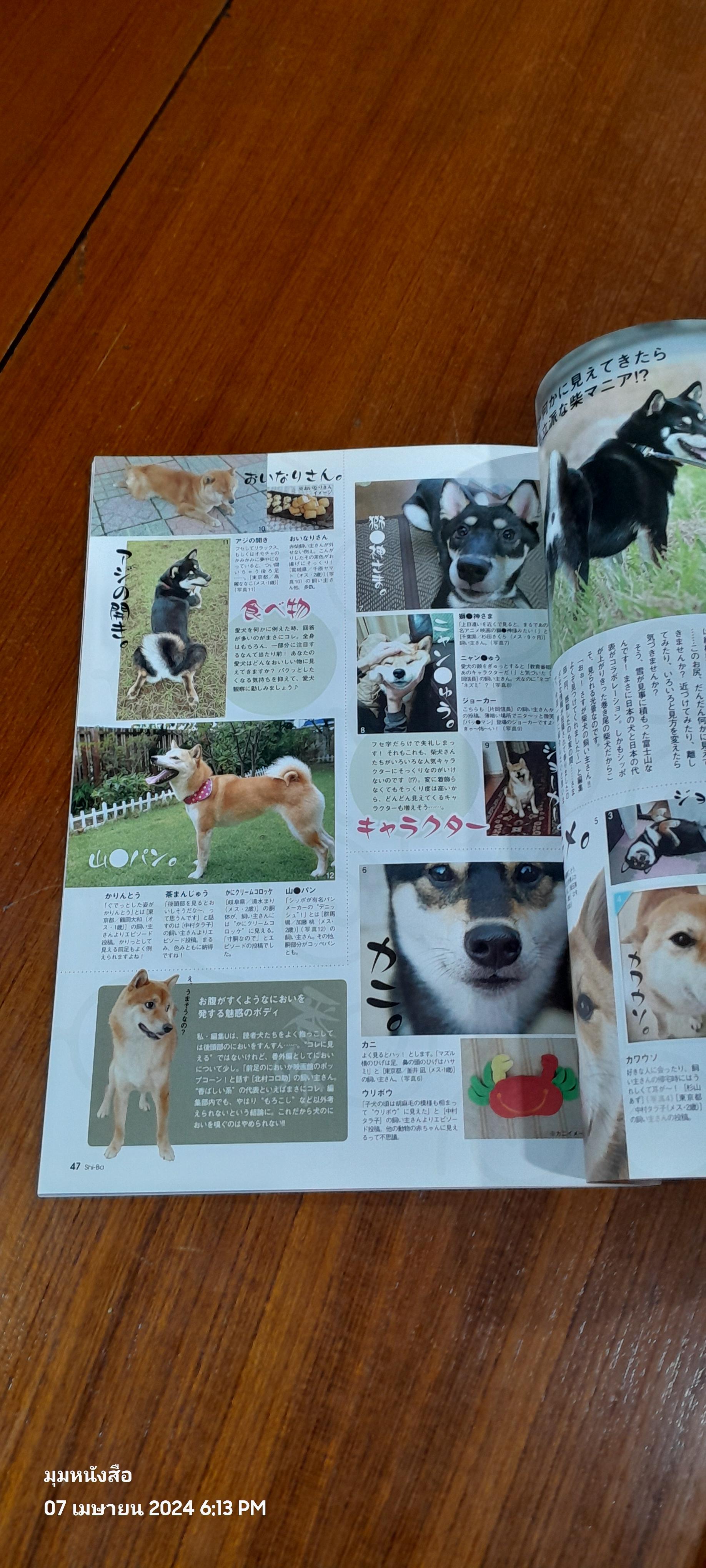 Shi-Ba : 2014 Vol.79