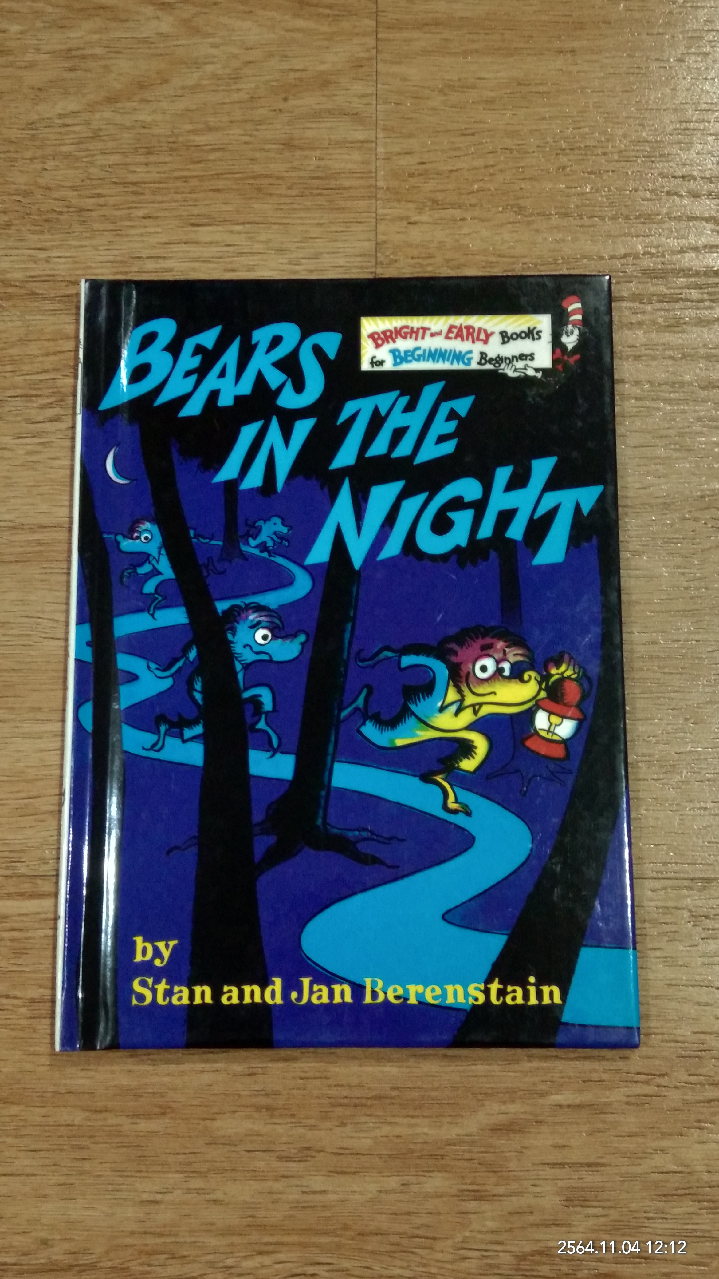 BEARS IN THE NIGHT / Berenstains