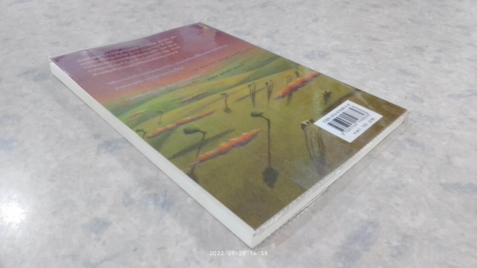 คุณย่ามหาสนุก 2 / ริชาร์ด เพ็ค