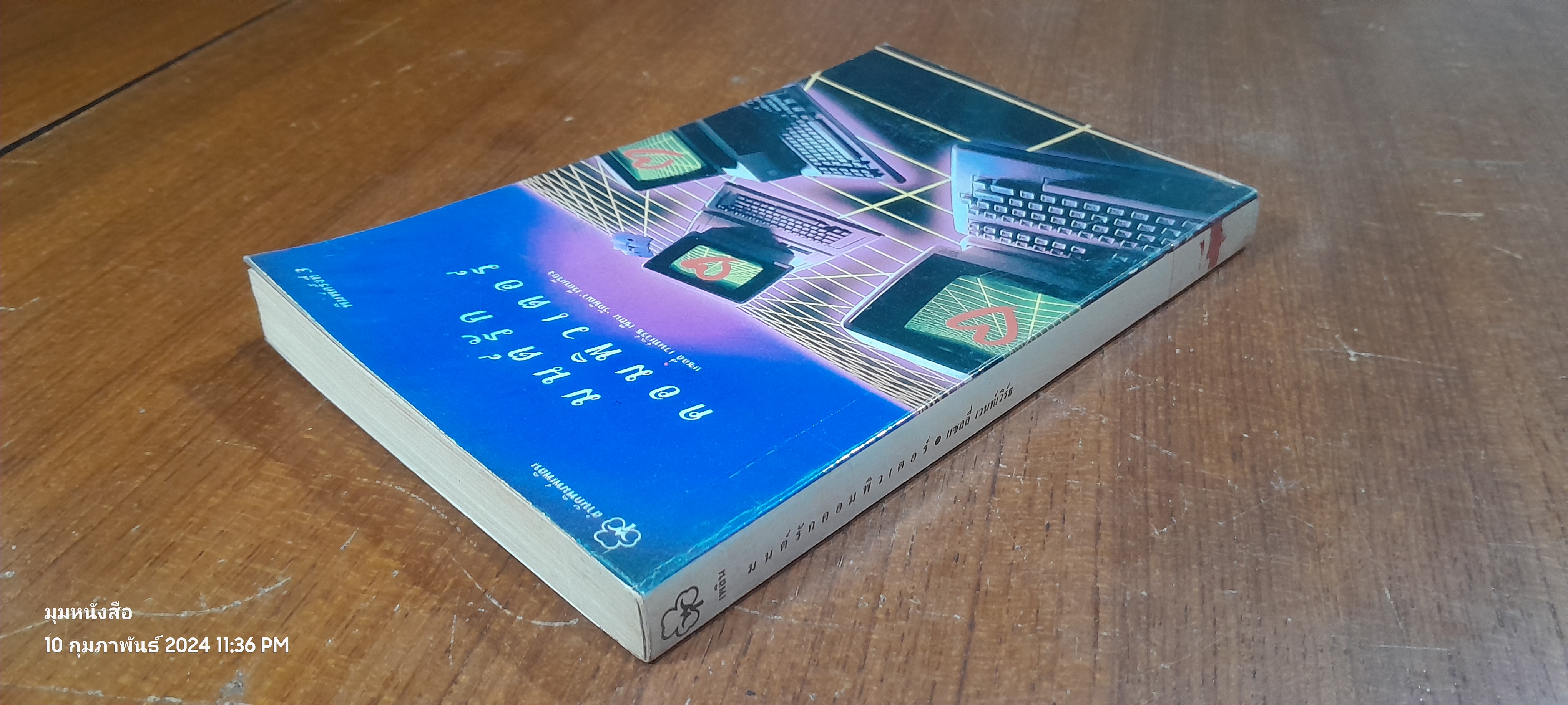 มนต์รักคอมพิวเตอร์ / แซลลี่ เวนท์เวิร์ธ