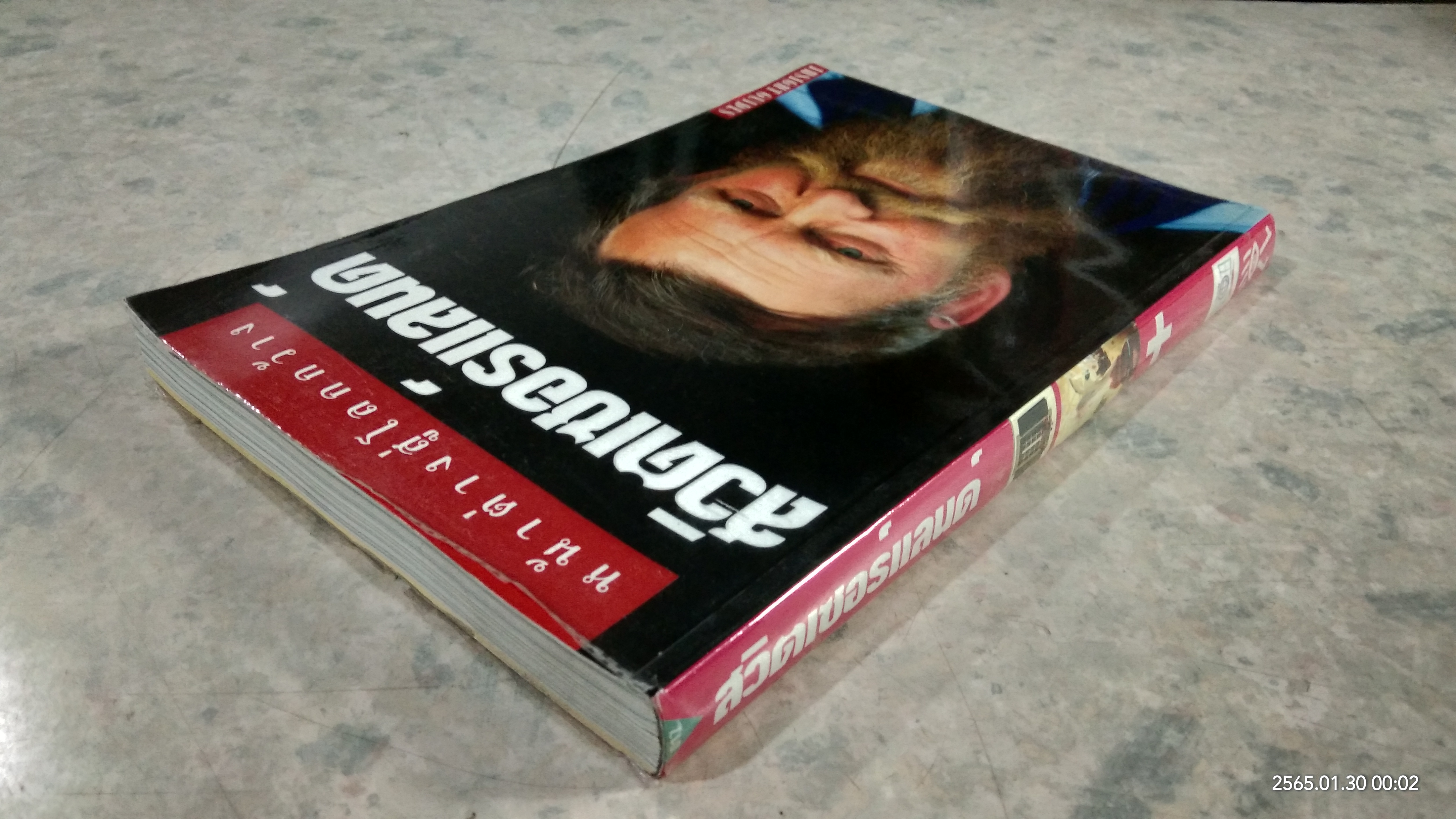 หน้าต่างสู่โลกกว้าง สวิตเซอร์แลนด์