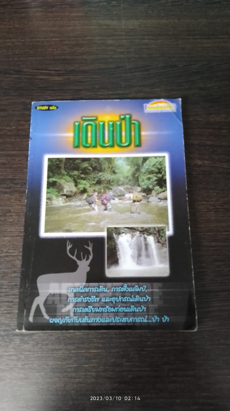 Study ฉบับ เดินป่า