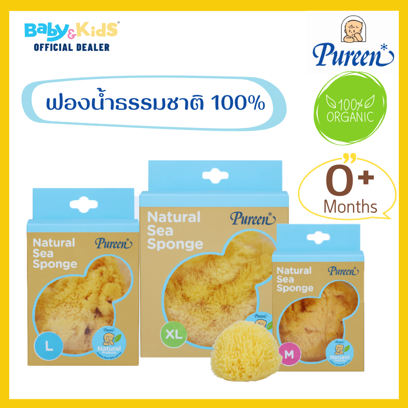 Pureen ฟองน้ำธรรมชาติอาบเด็ก ฟองน้ำธรรมชาติแท้ 100% size. L
