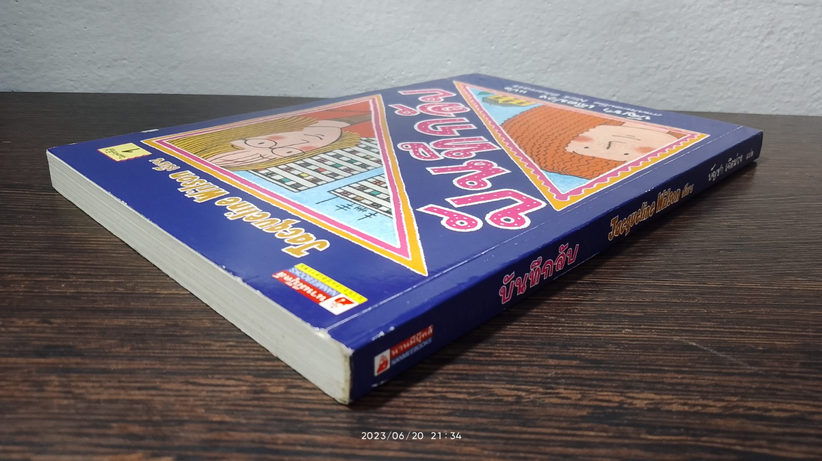 บันทึกลับ / Jacqueline Wilson