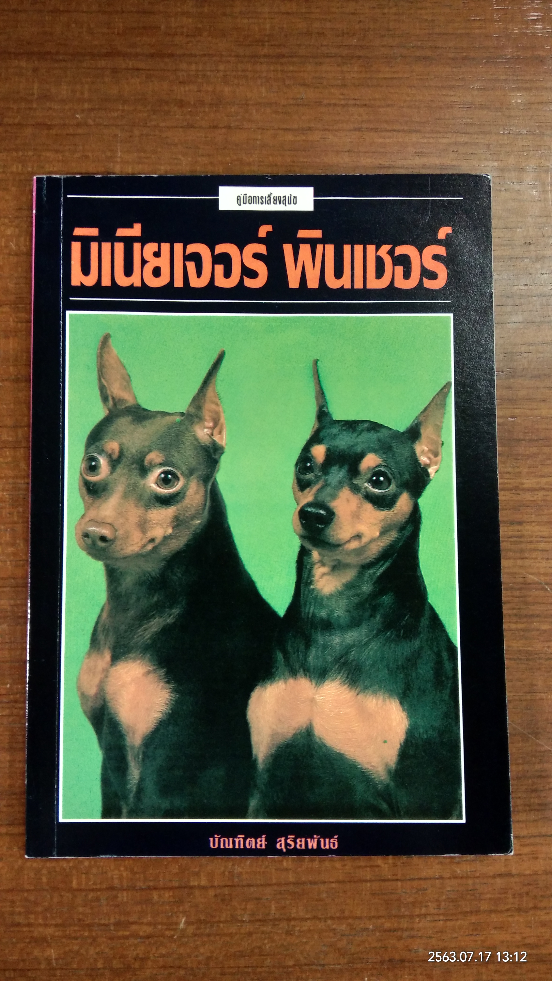 มิเนียเจอร์ พินเชอร์ / บัณฑิตย์ สุริยพันธ์