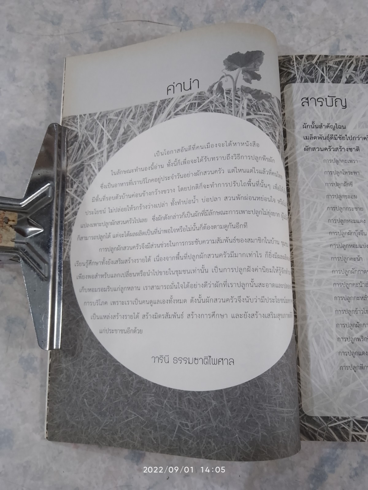 ปลูกผักสวนครัว ปลูกเอง-กินเอง-ปลอดสารพิษ / วารินี ธรรมชาติไพศาล