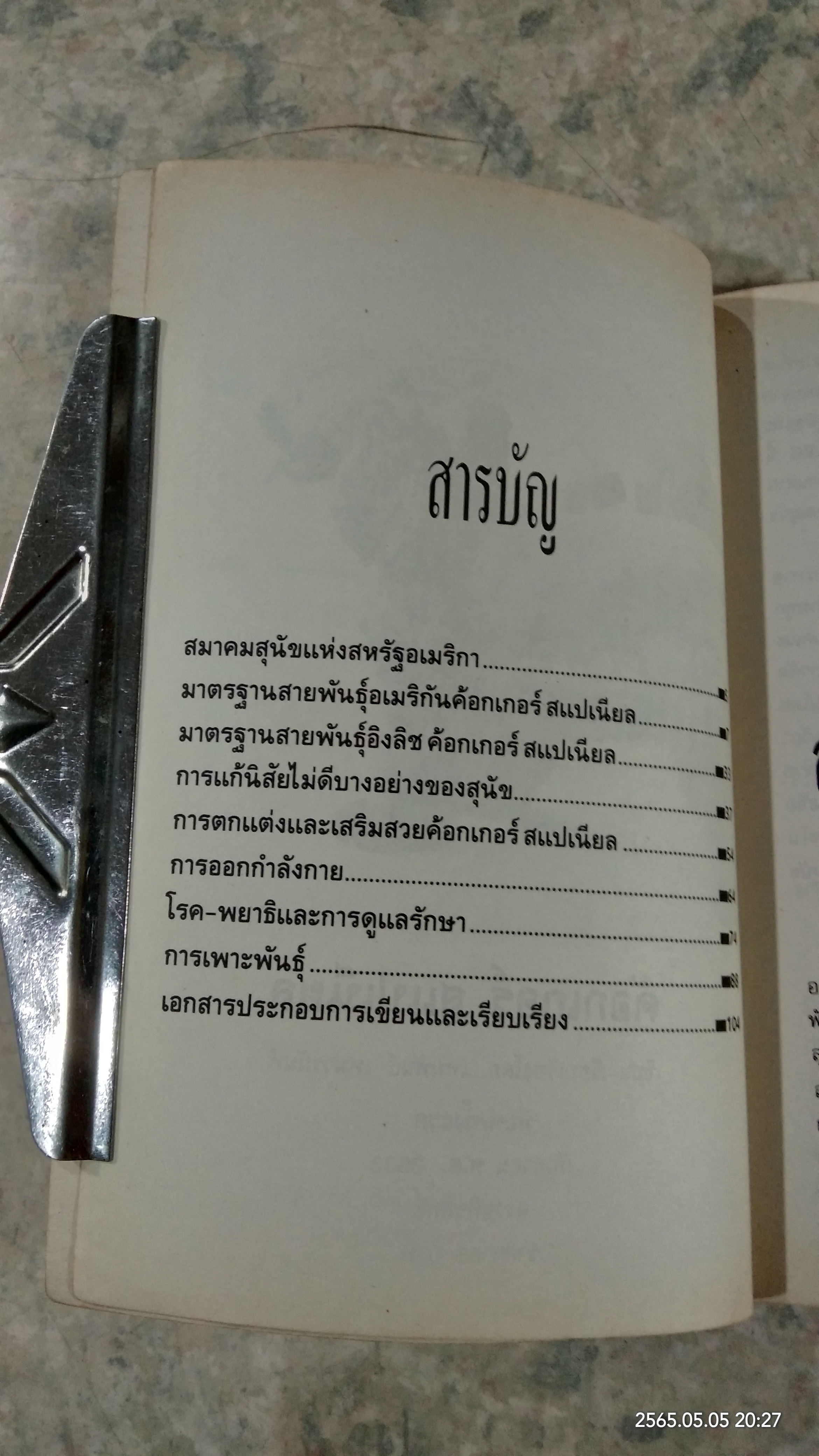 ค้อกเกอร์ สแปเนียล / เหมพันธ์ เหมวรนันท์