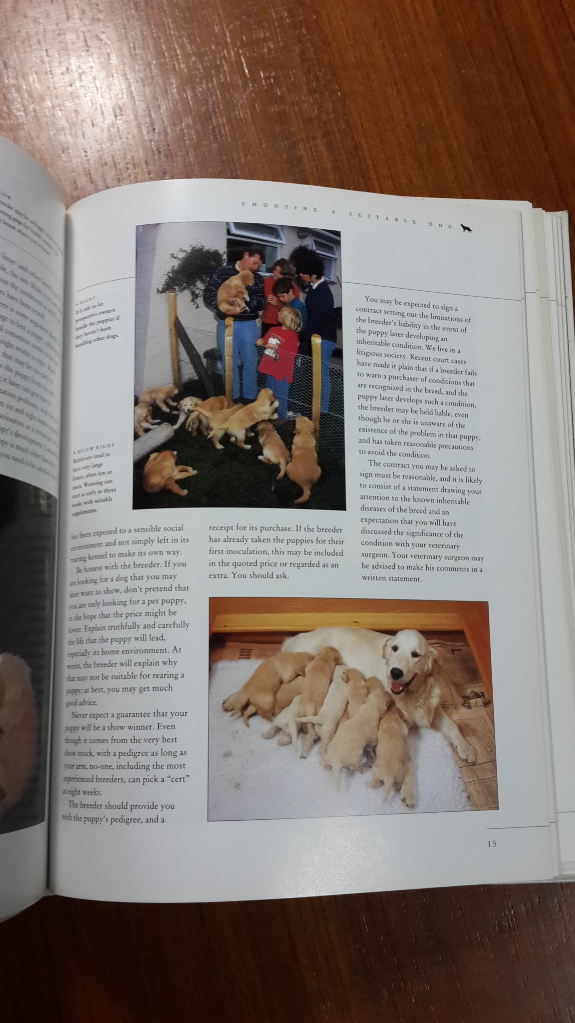 THE COMPLETE GUIDE TO DOG CARE / DR PETER LARKIN