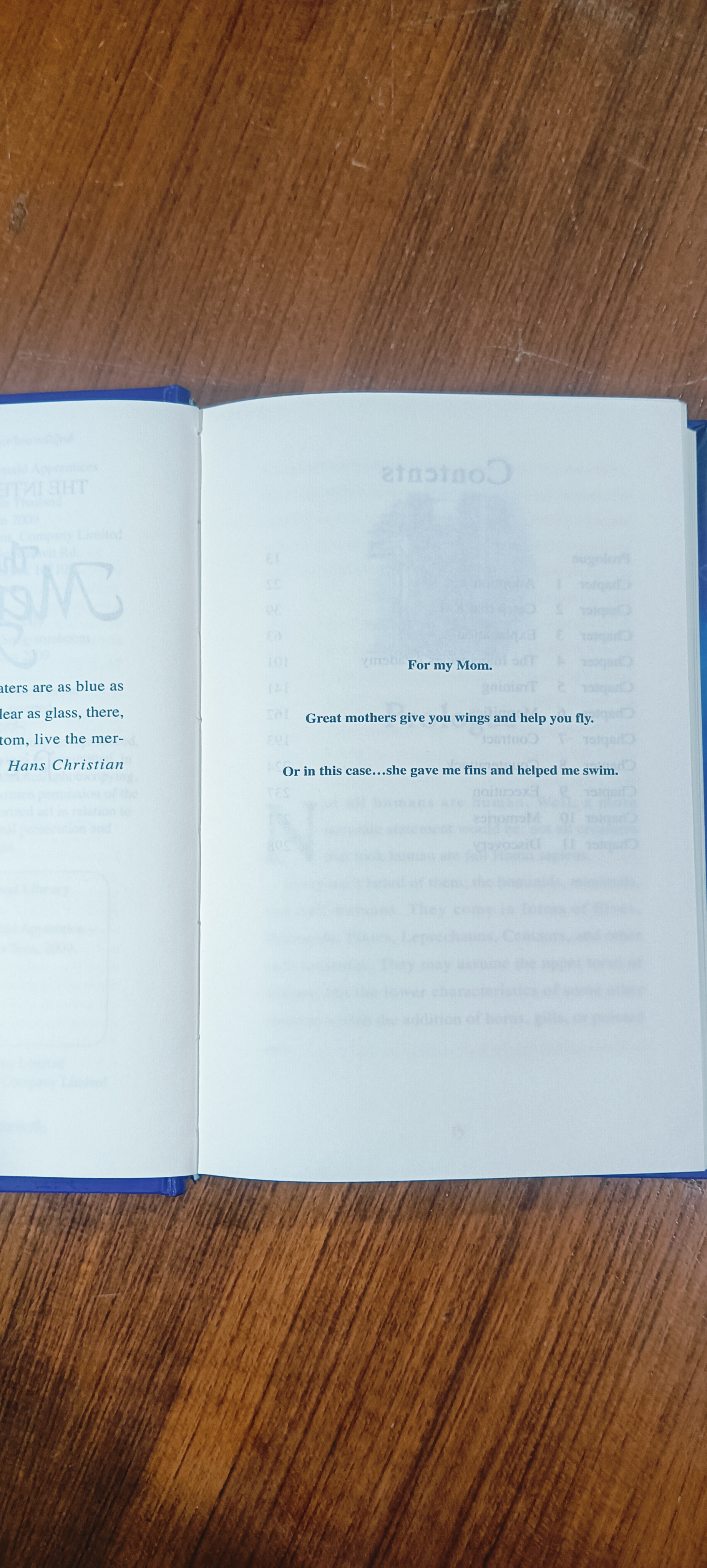 The Mermaid Apprentices / Pieretta Dawn